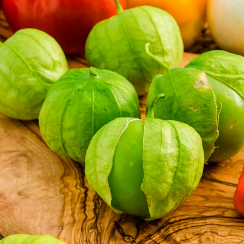 Tamayo R Hybrid Tomatillo Seed