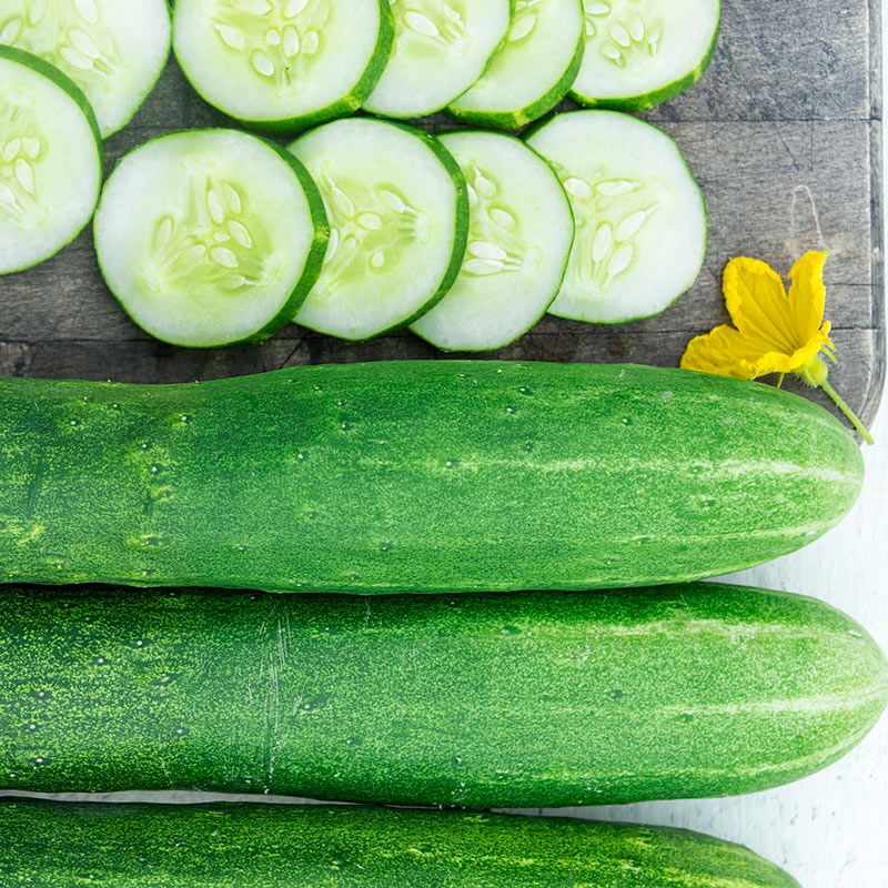 Early Spring Burpless Hybrid Slicing Cucumber Seed