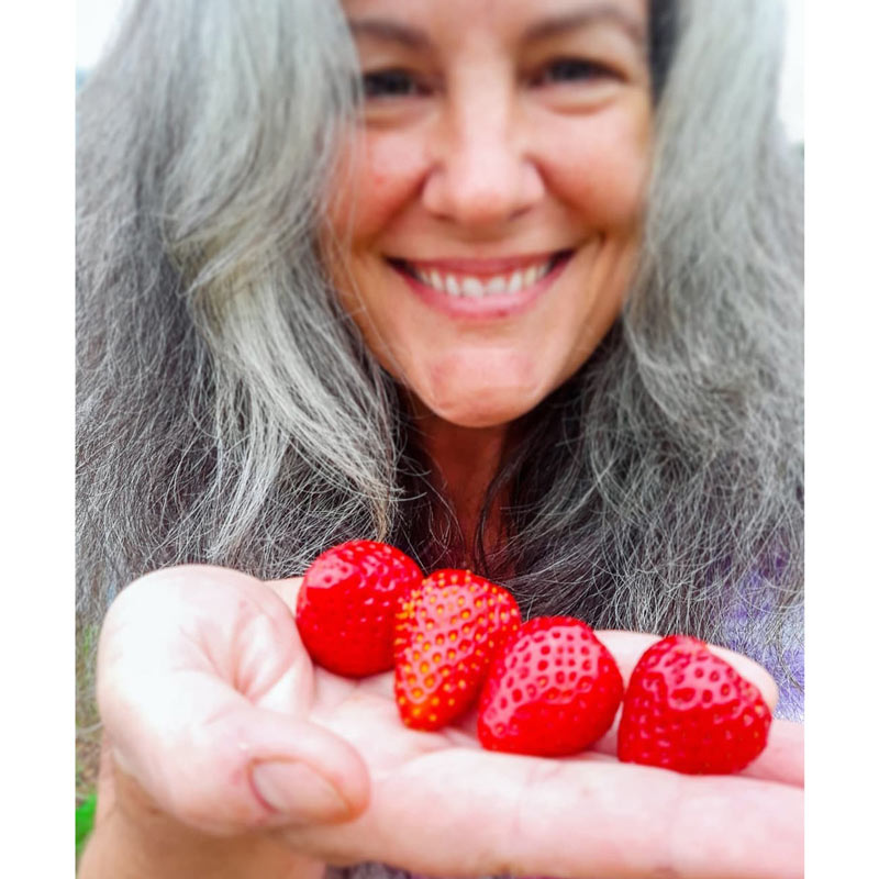 Gurneys Whopper Strawberries