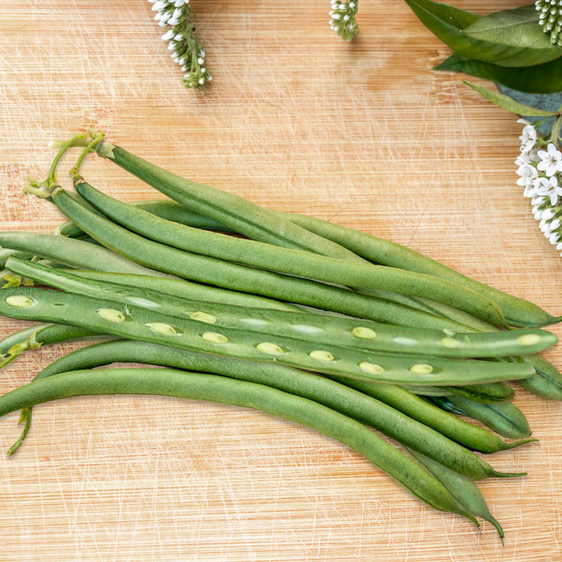 Seychelles Pole Bean Seed