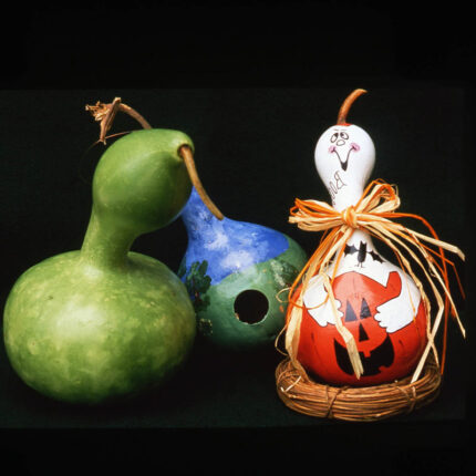 Birdhouse Gourd Seed