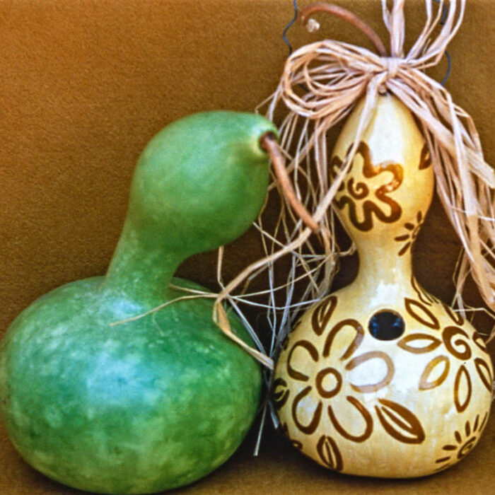 Birdhouse Gourd Seed