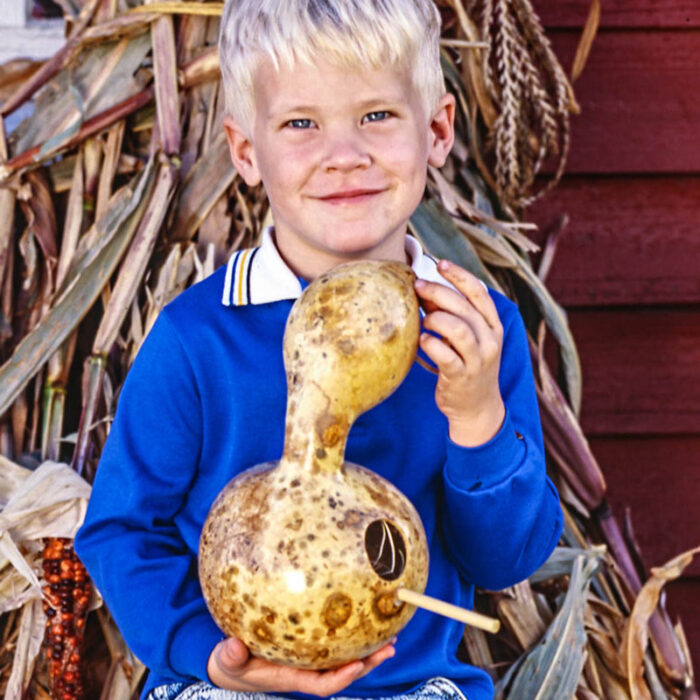 Birdhouse Gourd Seed