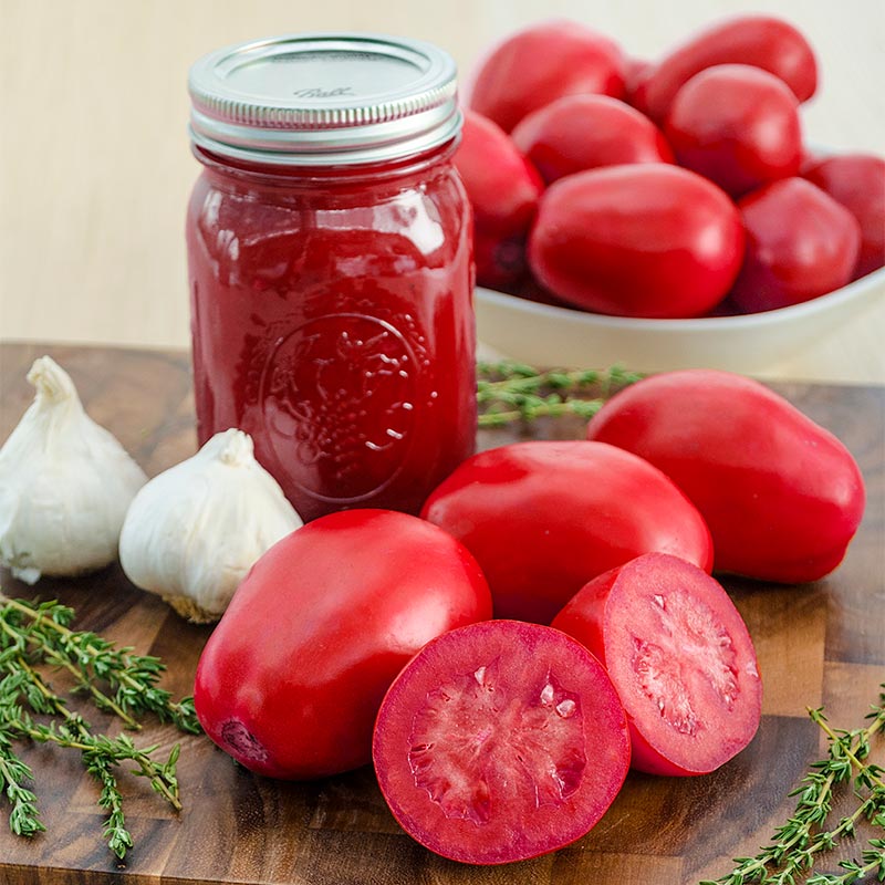 Easy Sauce Hybrid Tomato