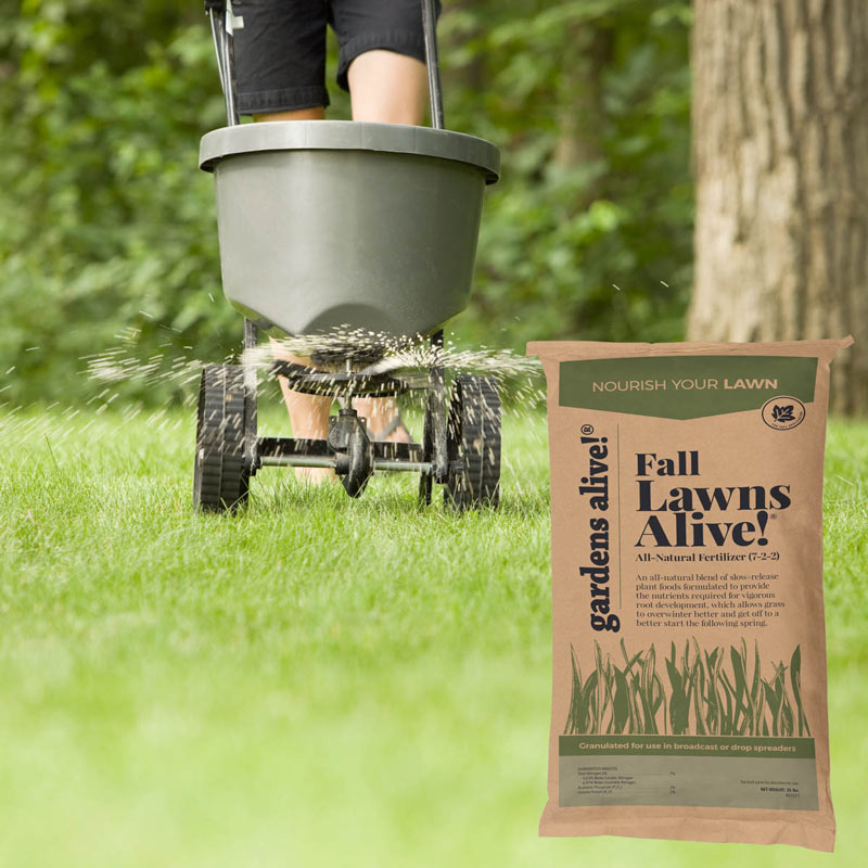 Fall Lawns Alive! Lawn Fertilizer