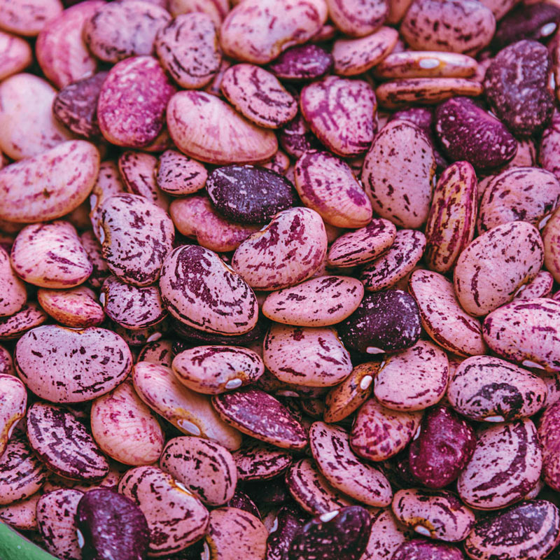 Dixie Speckled Butterpea Seed