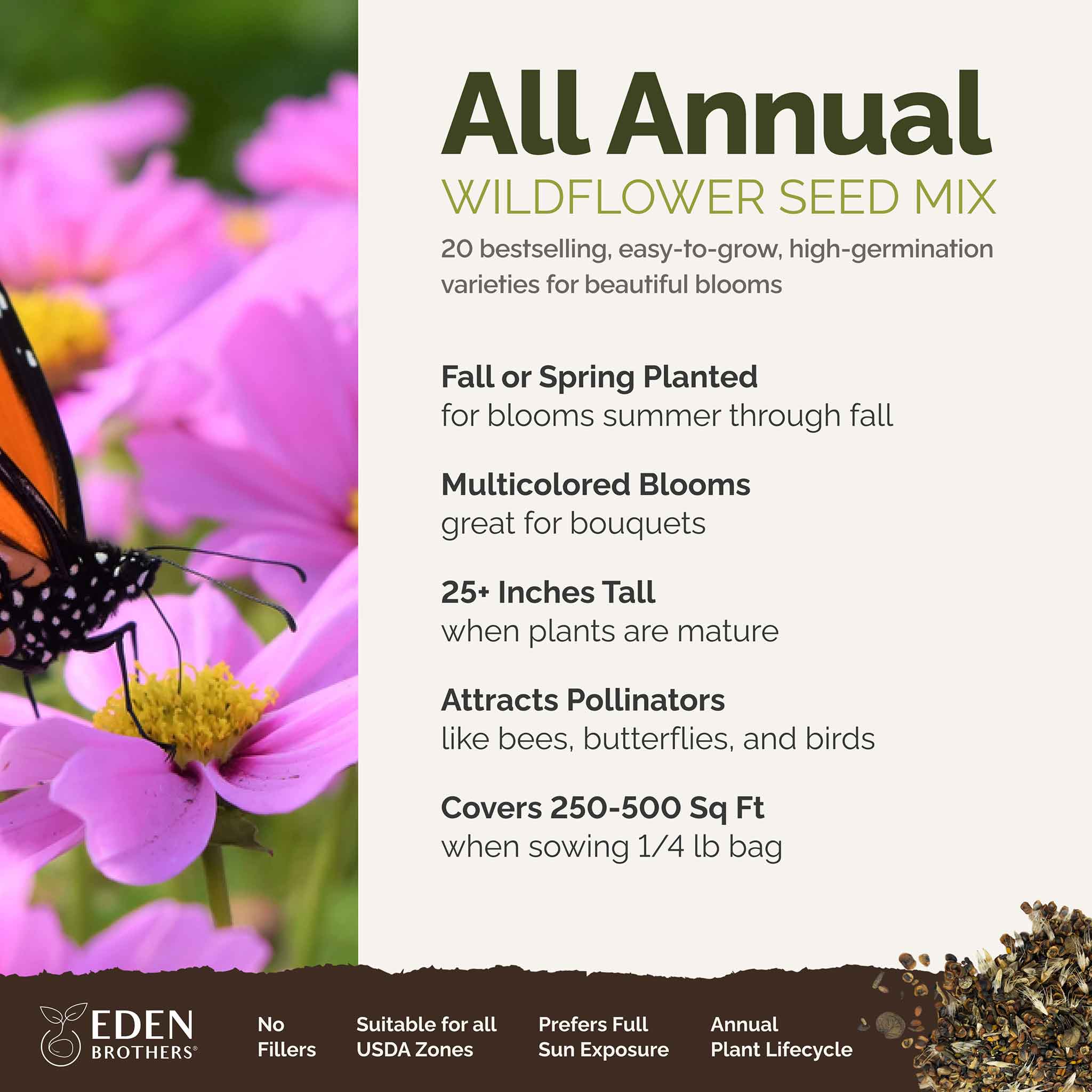 All Annual Wildflower Seed Mix