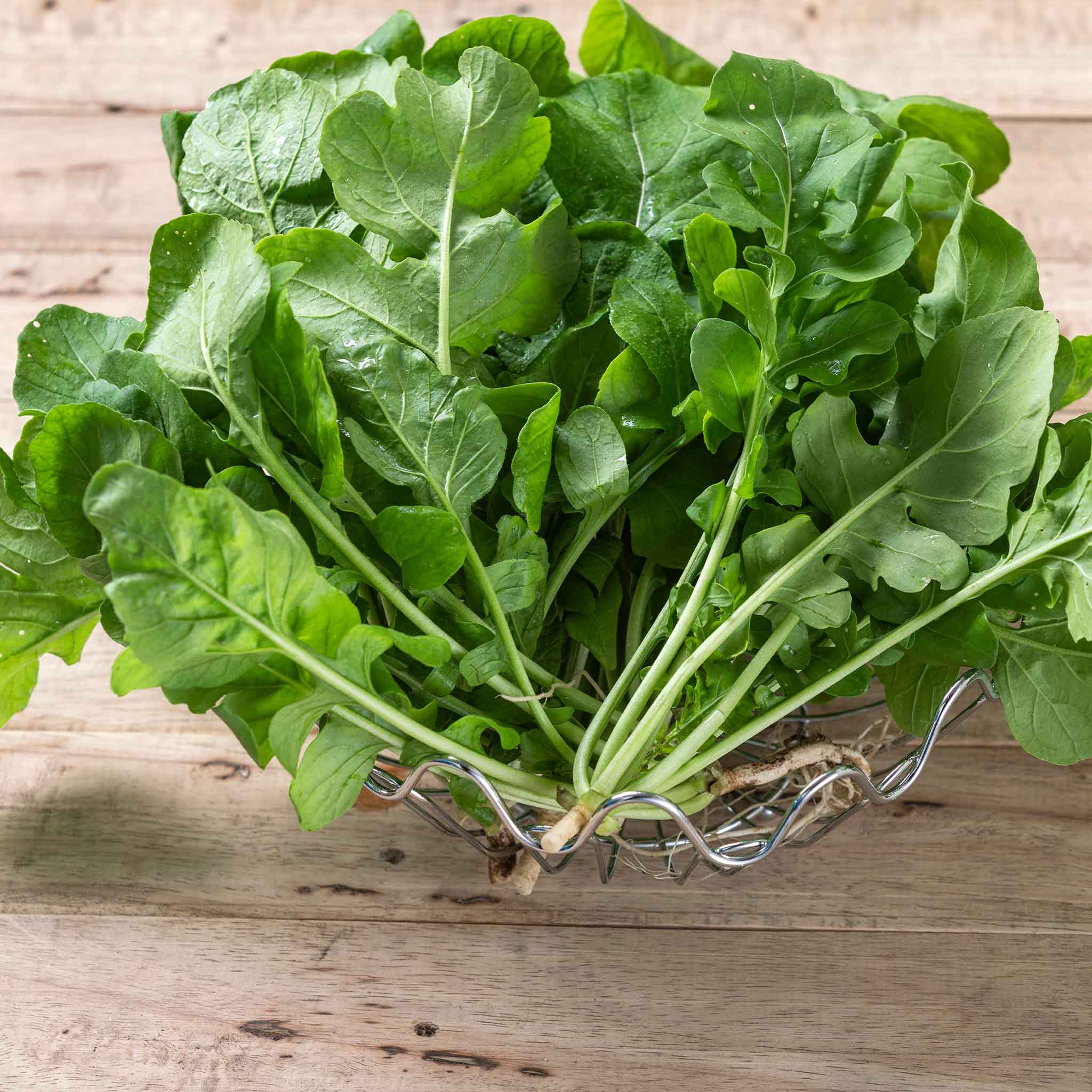 Arugula Seeds - Rocket