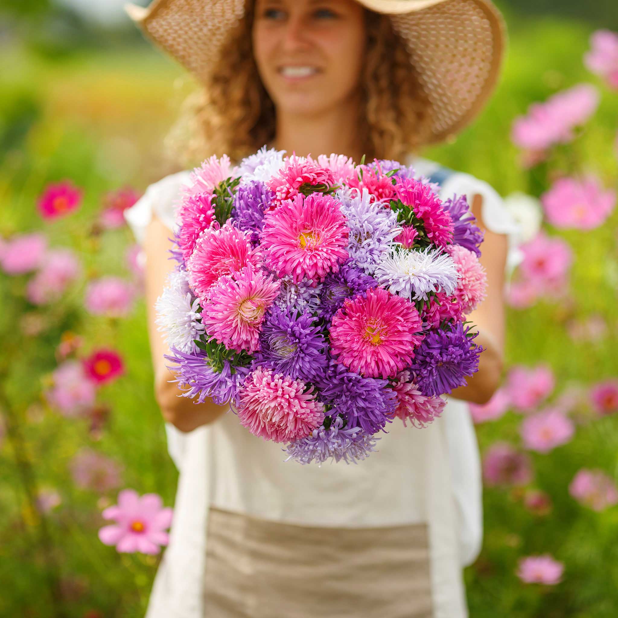 China Aster Seeds - Giants of California