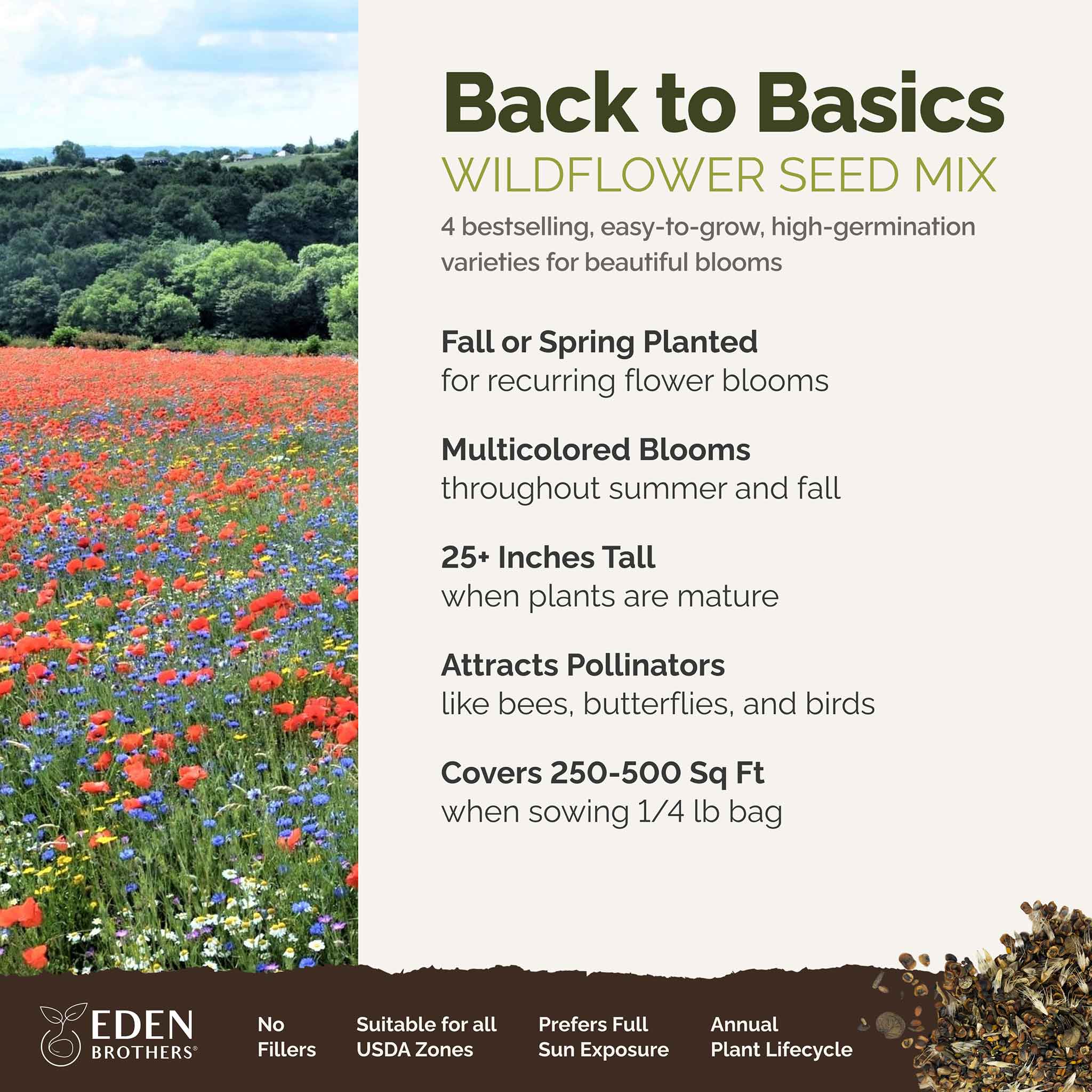 Back to Basics Flower Seed Mix