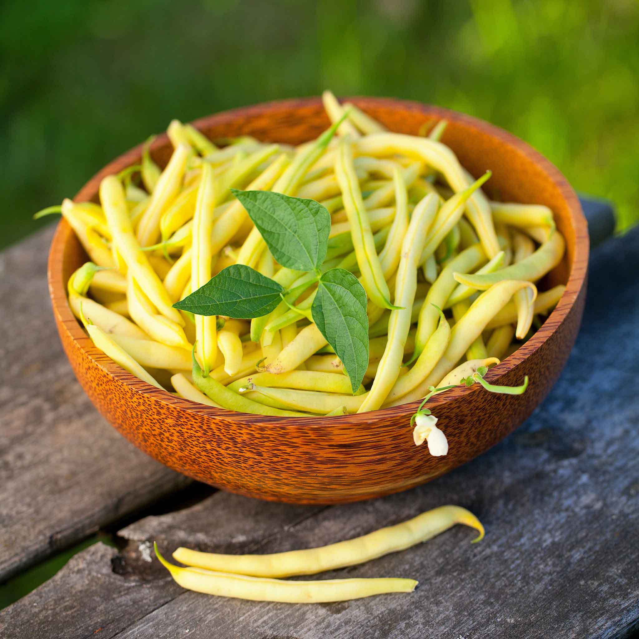 Bean Seeds - Golden Wax