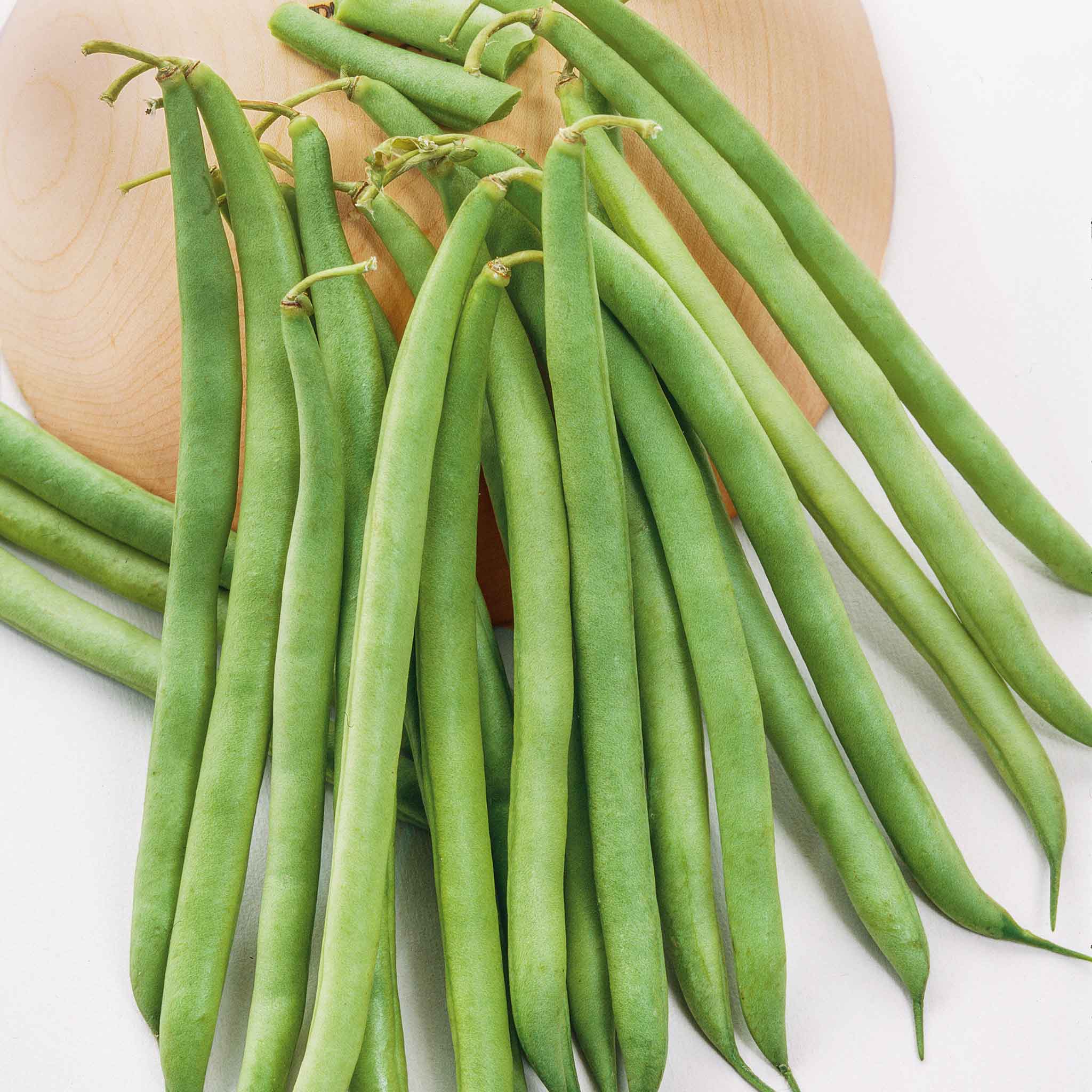 Bean Seeds - Landreth Stringless