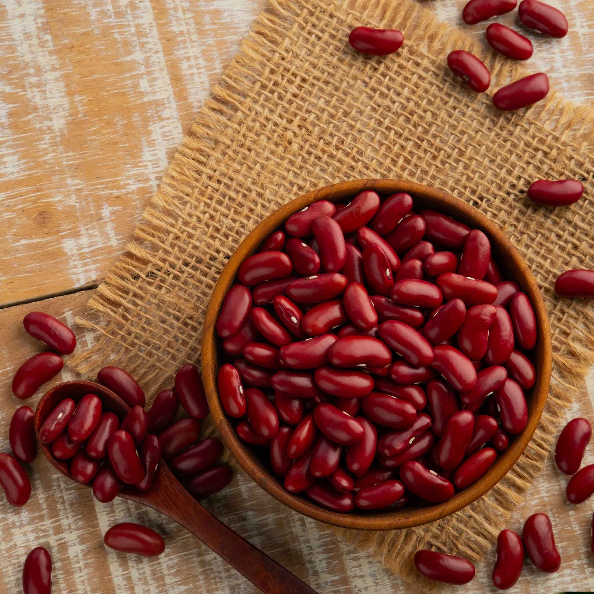 Bean Seeds - Dark Red Kidney