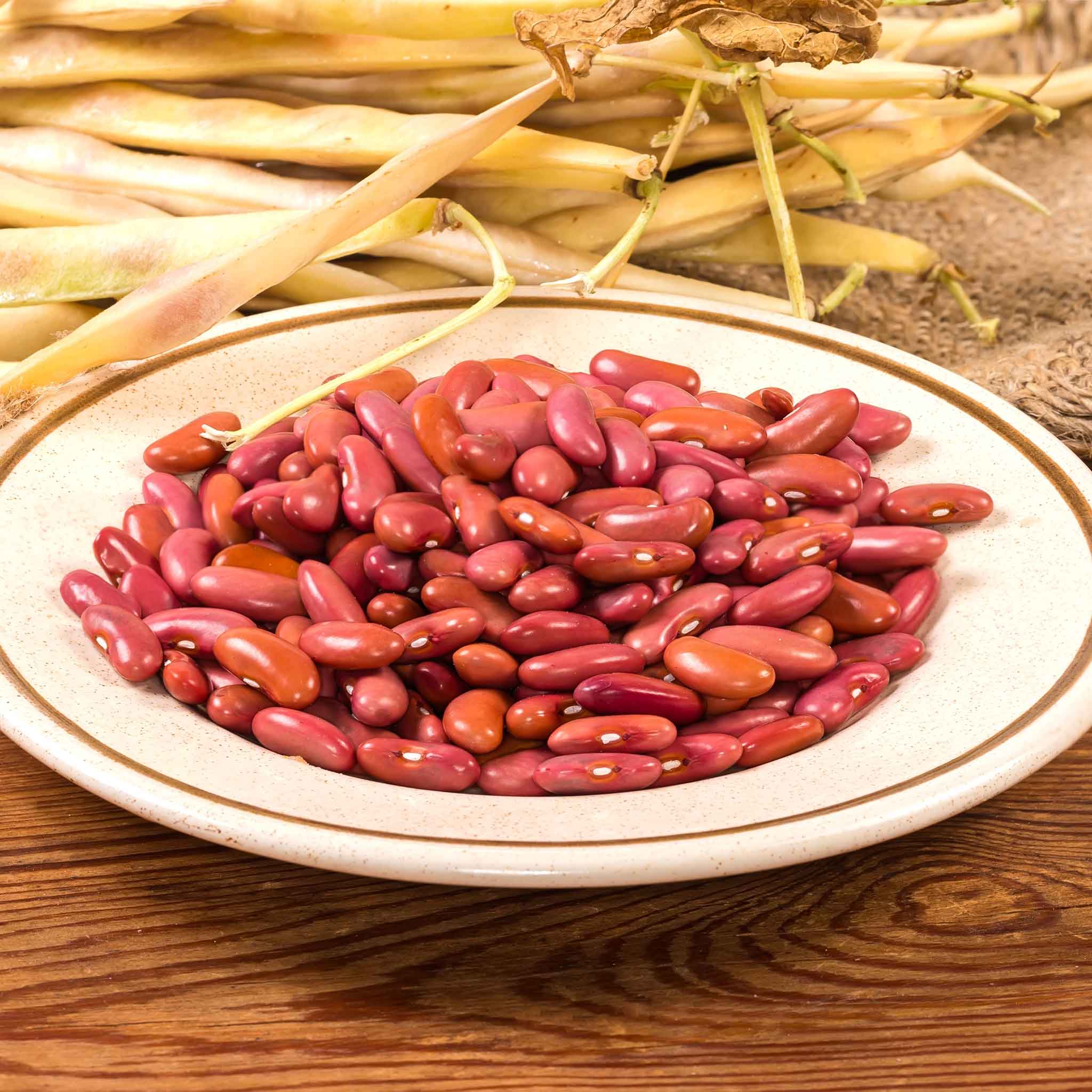 Bean Seeds - Light Red Kidney