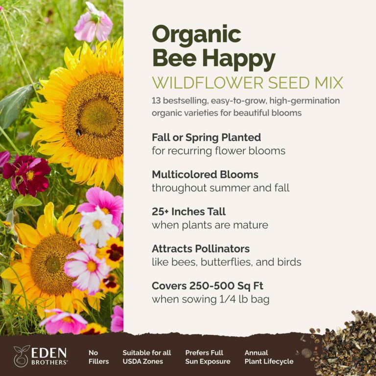 Bee Happy - Organic Bee Attractor Wildflower Mix