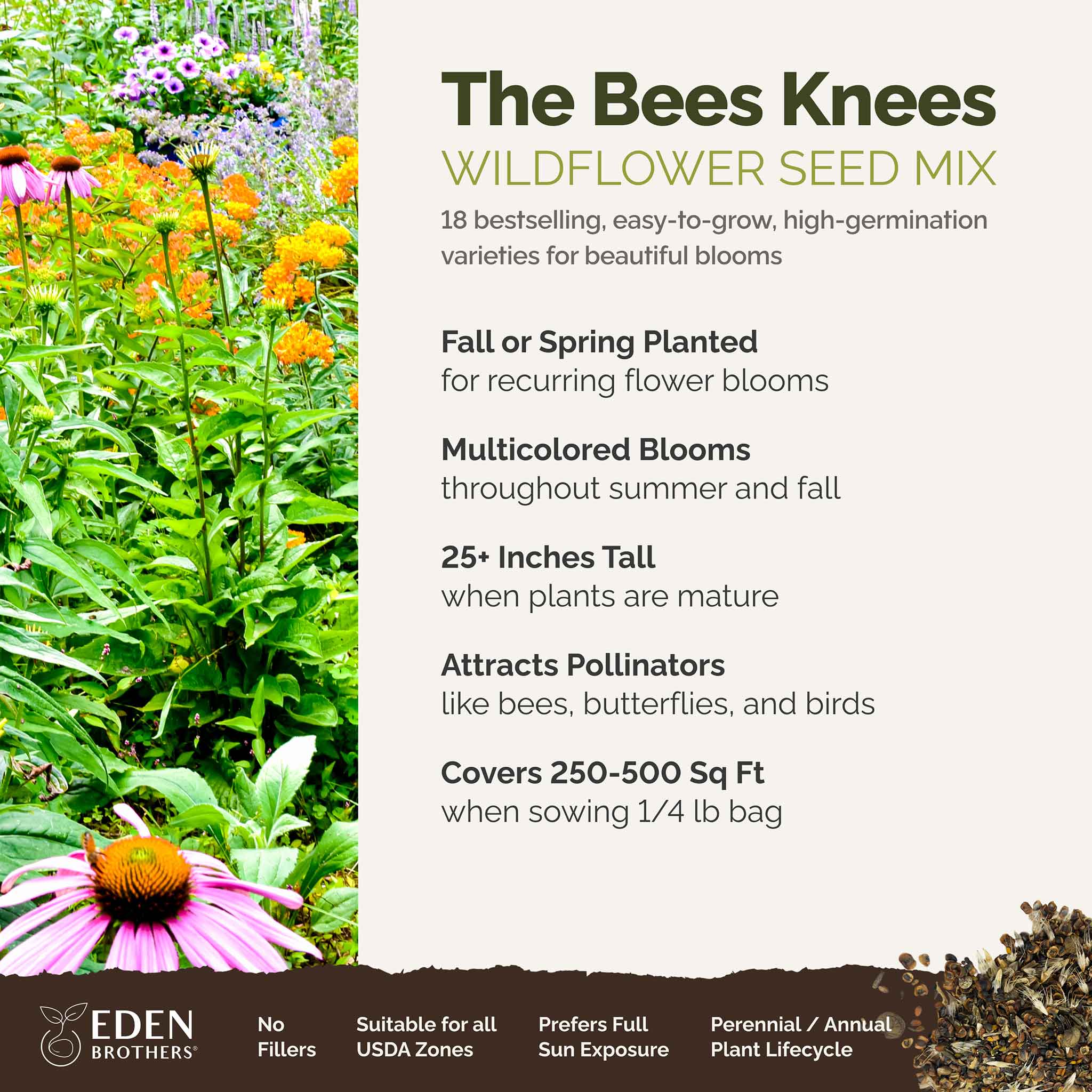 The Bee's Knees - Pollinator Wildflower Seed Mix