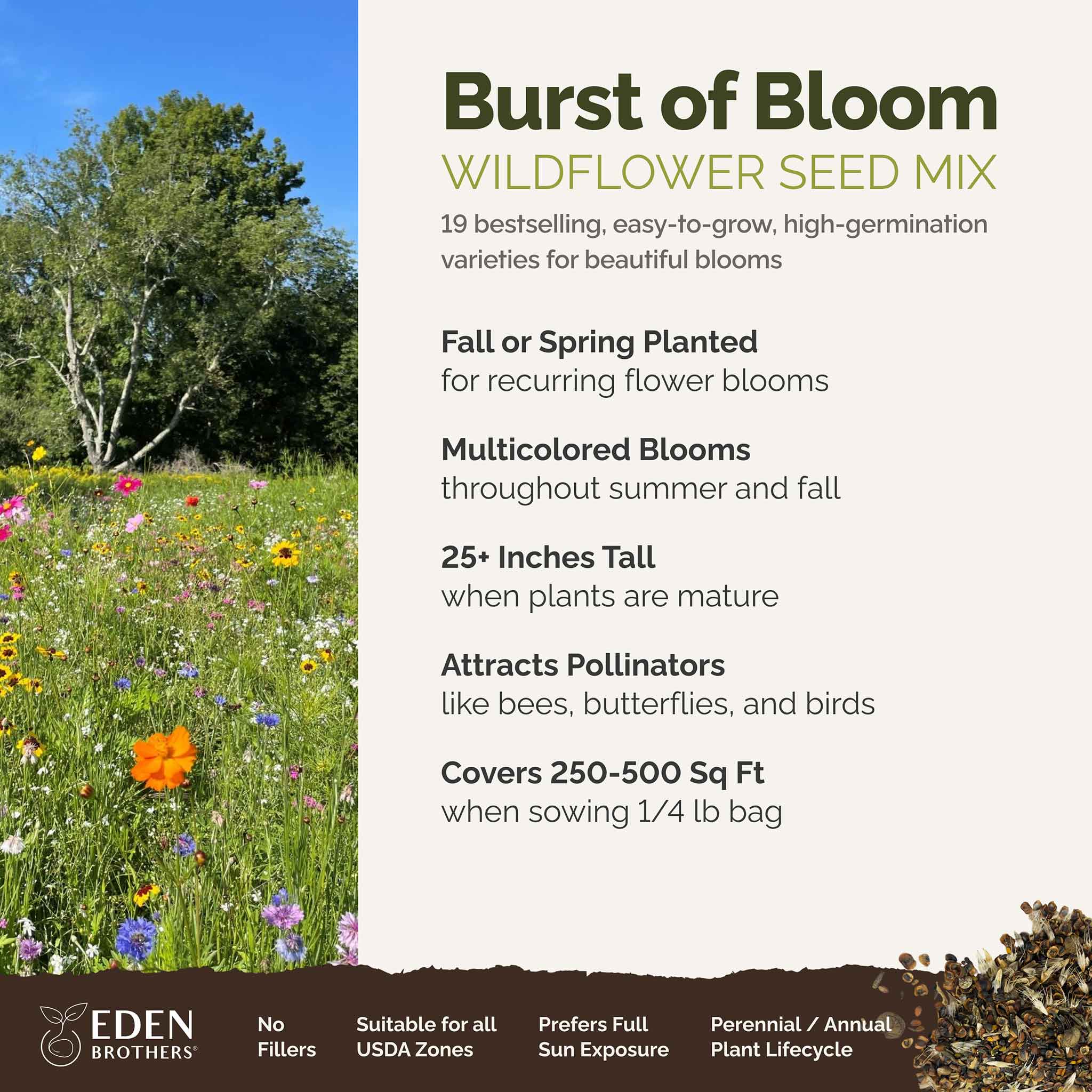 Burst Of Bloom Annual & Perennial Wildflower Seed Mix