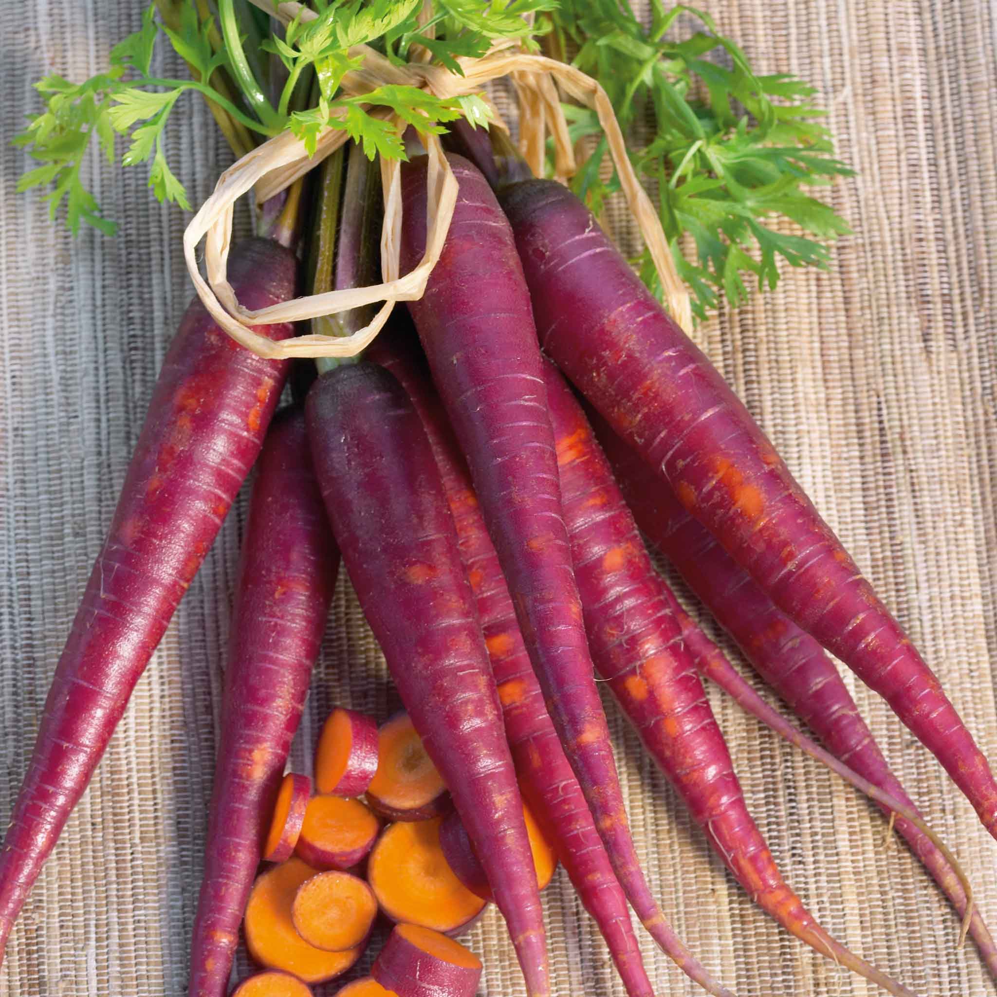 Carrot Seeds - Cosmic Purple