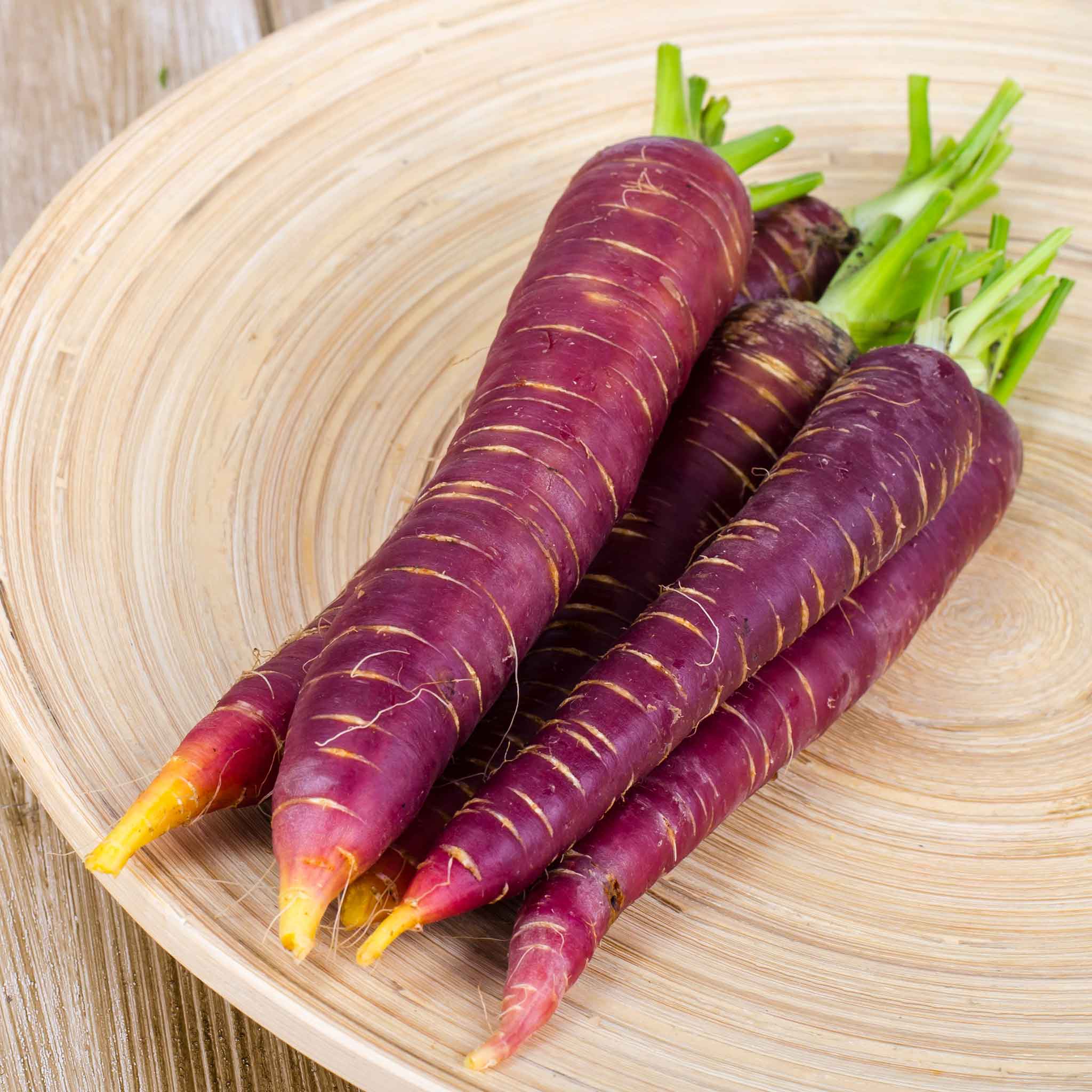 Carrot Seeds - Cosmic Purple