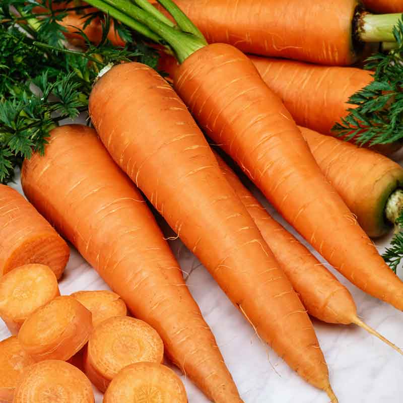 Carrot Seeds - Danvers 126