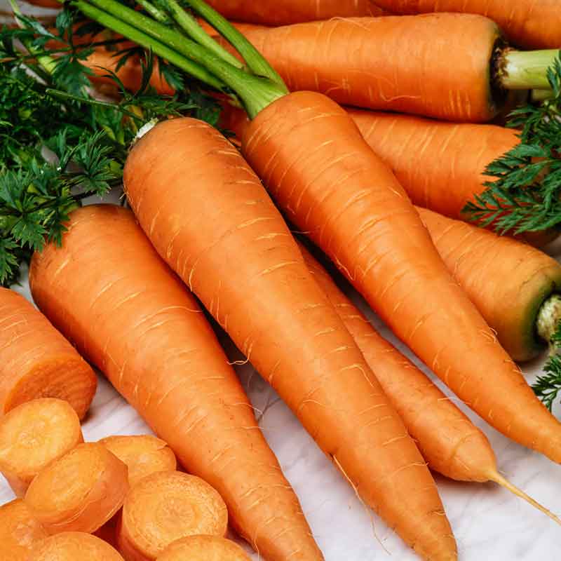 Organic Carrot Seeds - Danvers 126