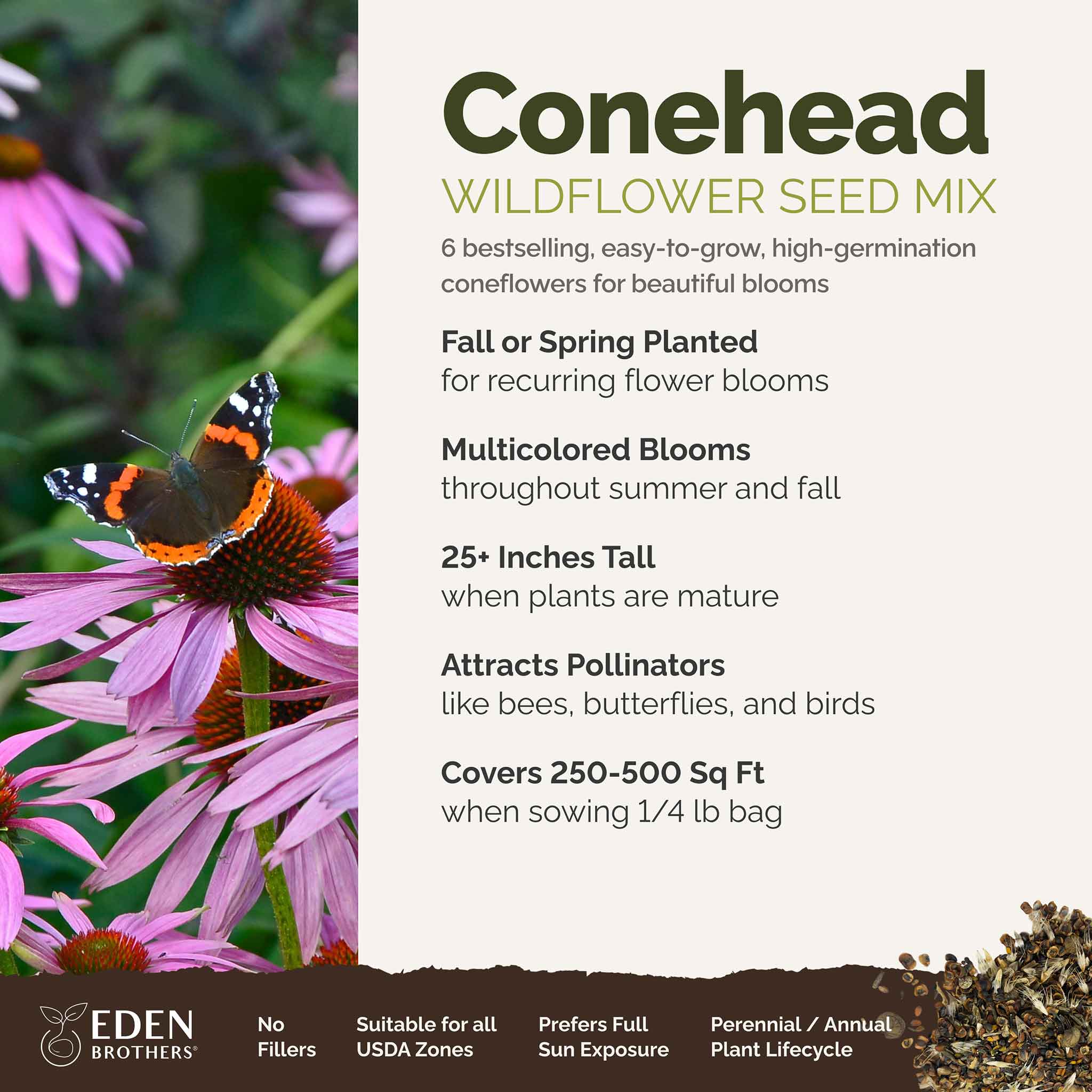 Conehead - Coneflower Seed Mix