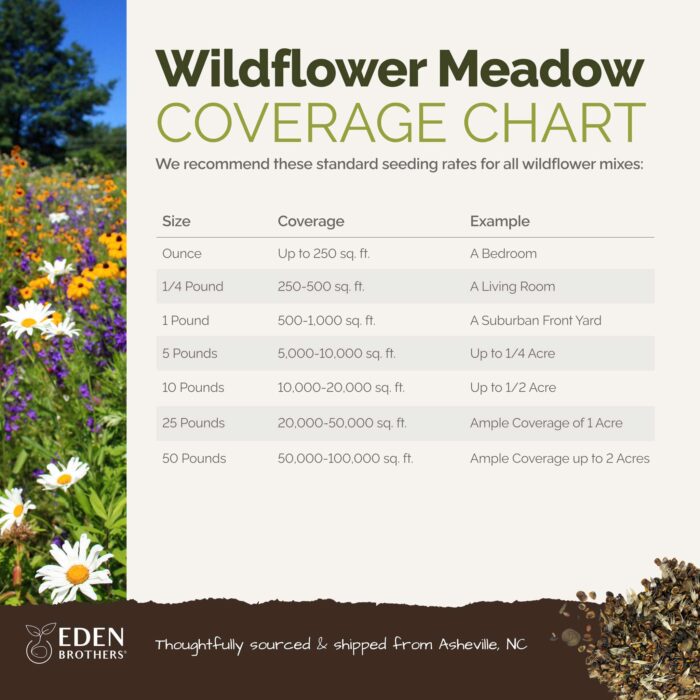 Heirloom Flower Seed Mix