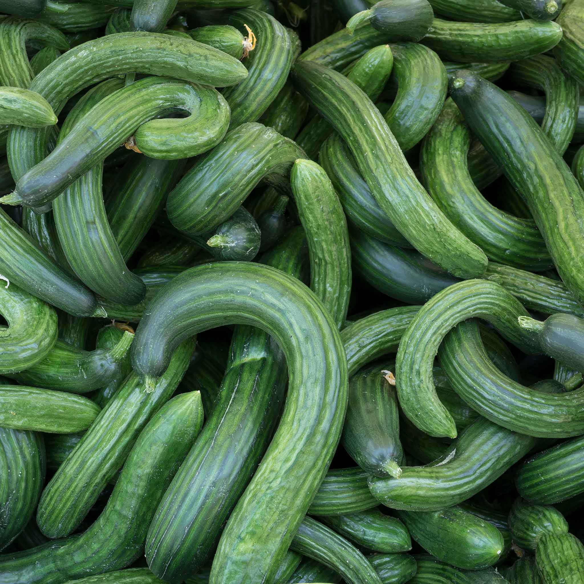 Cucumber Seeds - Armenian Dark Green