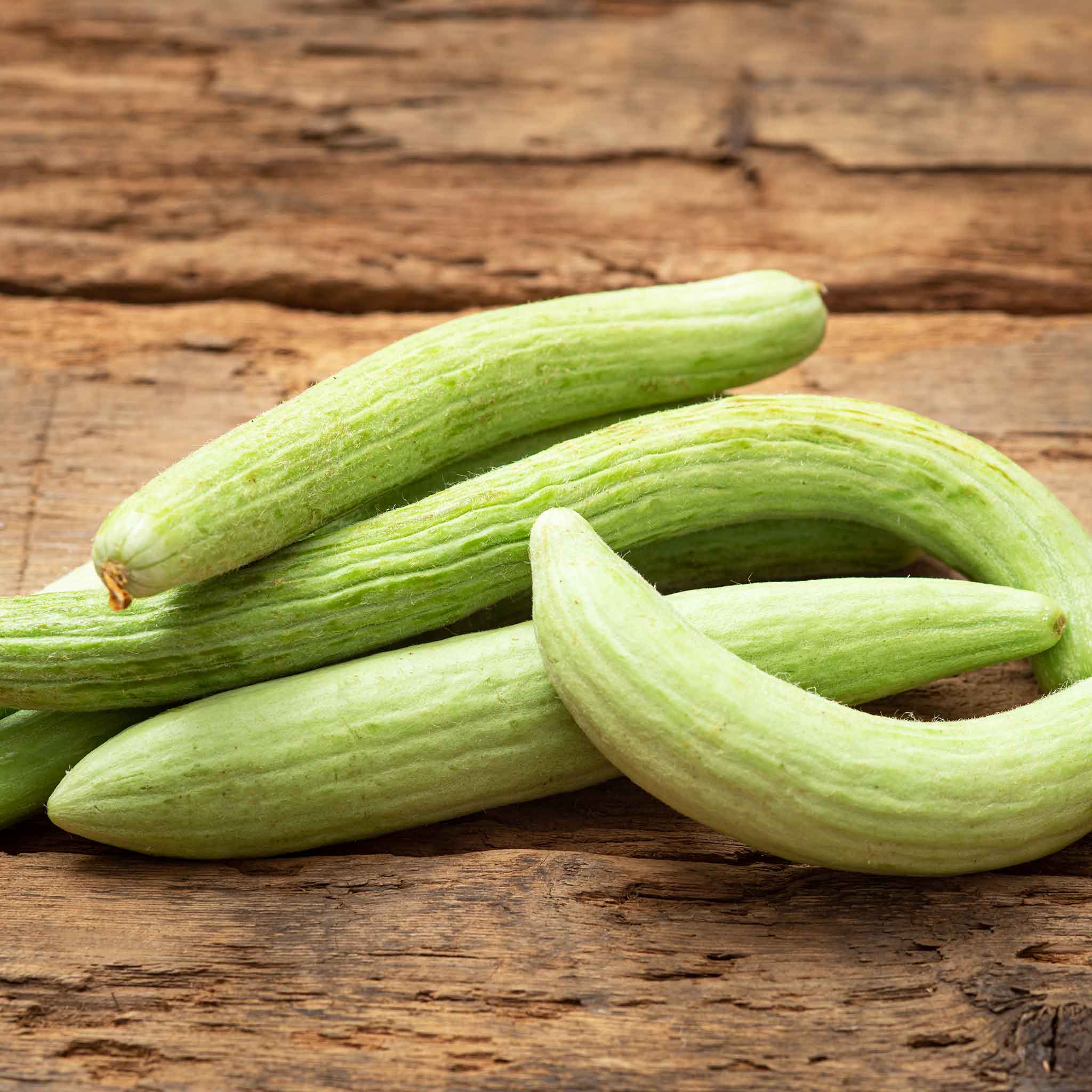 Cucumber Seeds - Armenian Pale Green