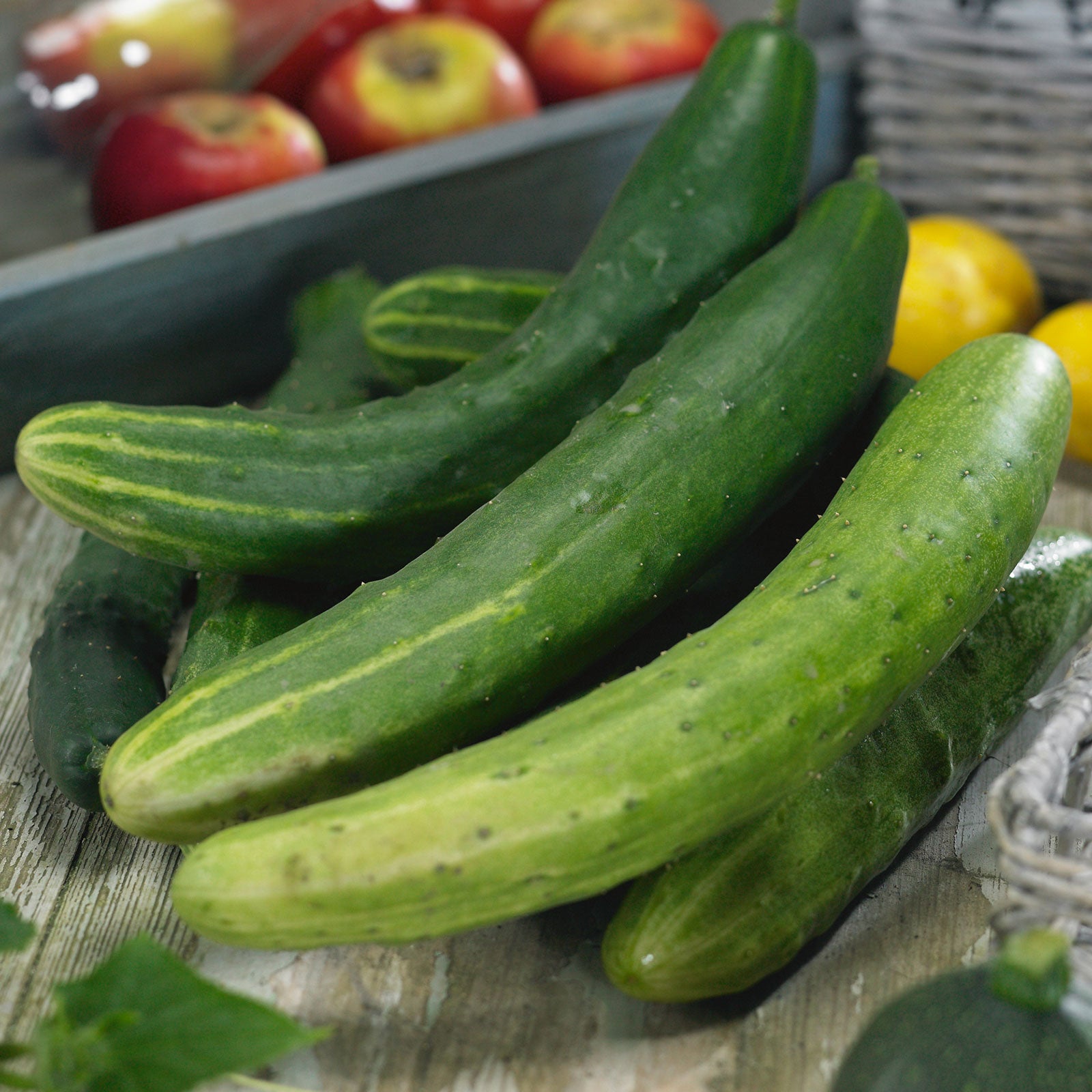 Cucumber Seeds - Garden Sweet Burpless