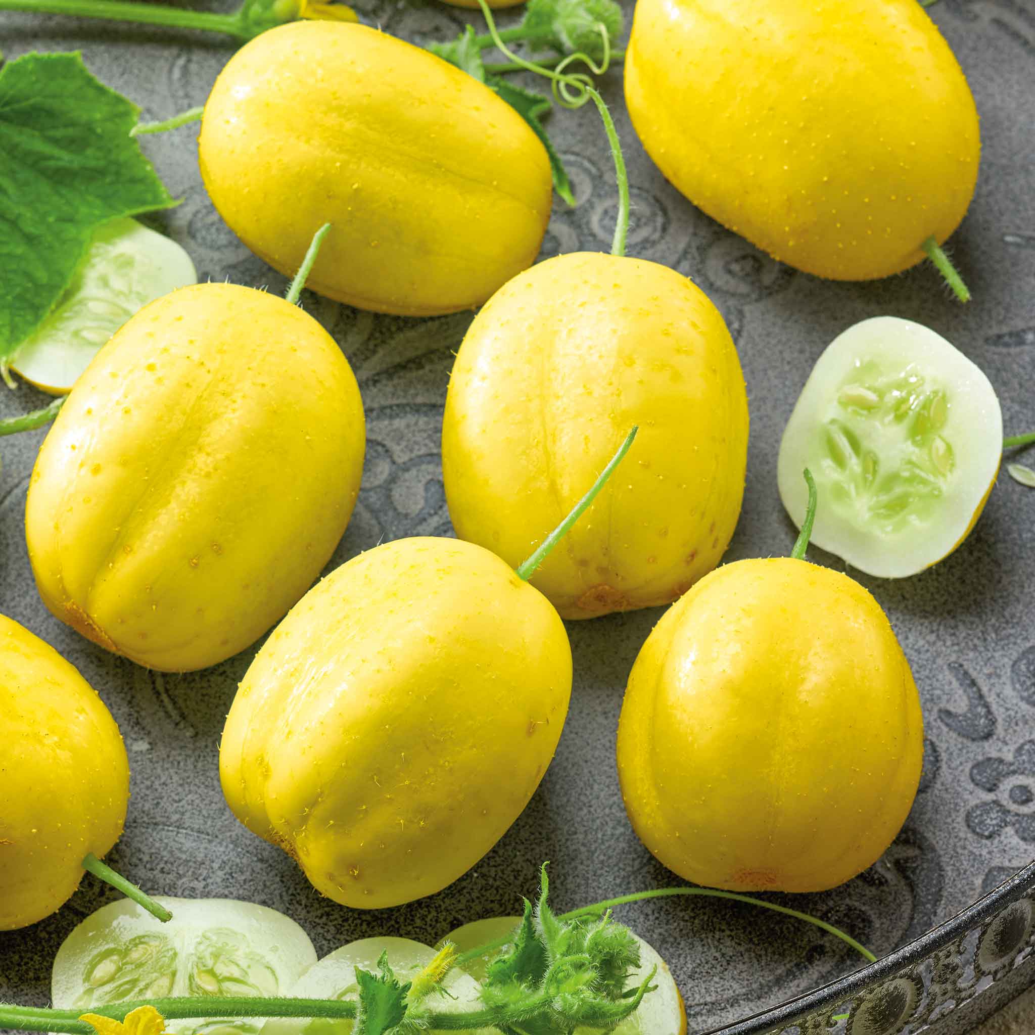 Cucumber Seeds - Lemon