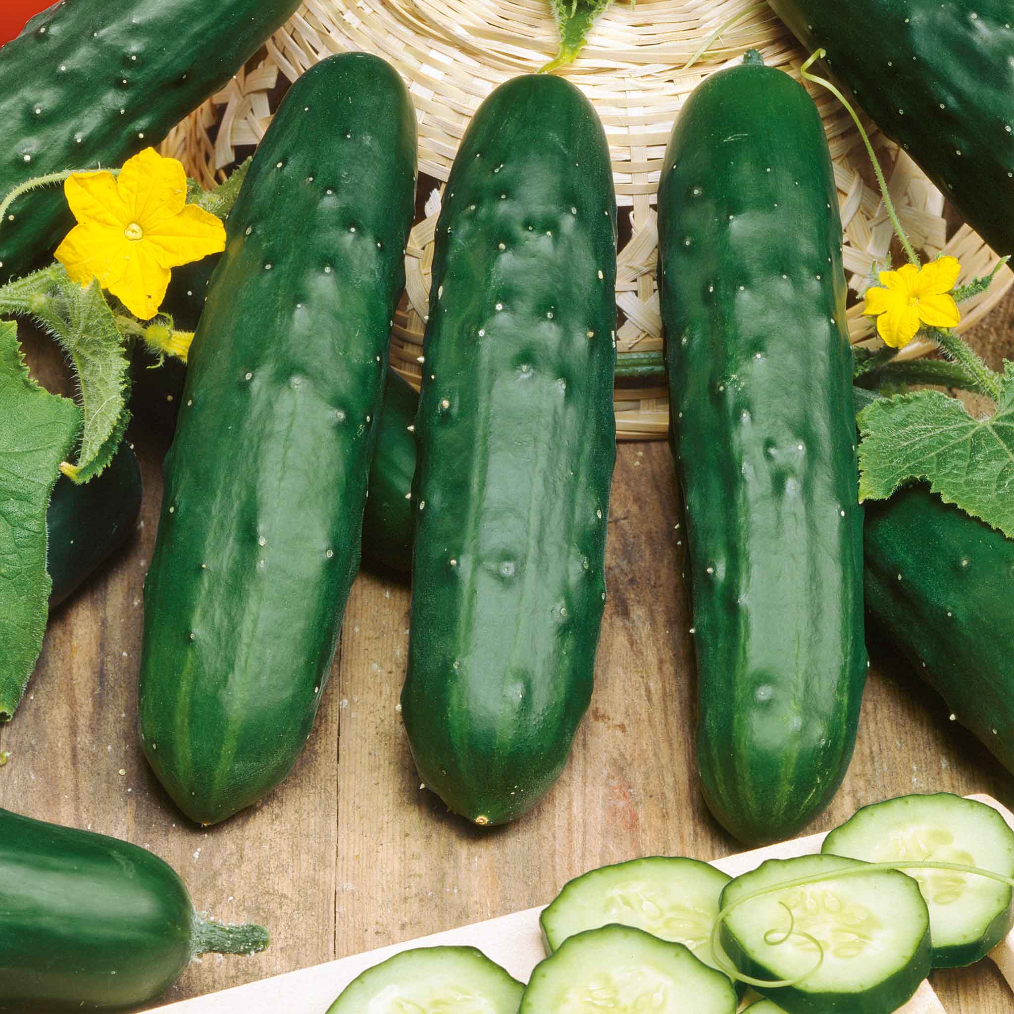 Cucumber Seeds - Marketer