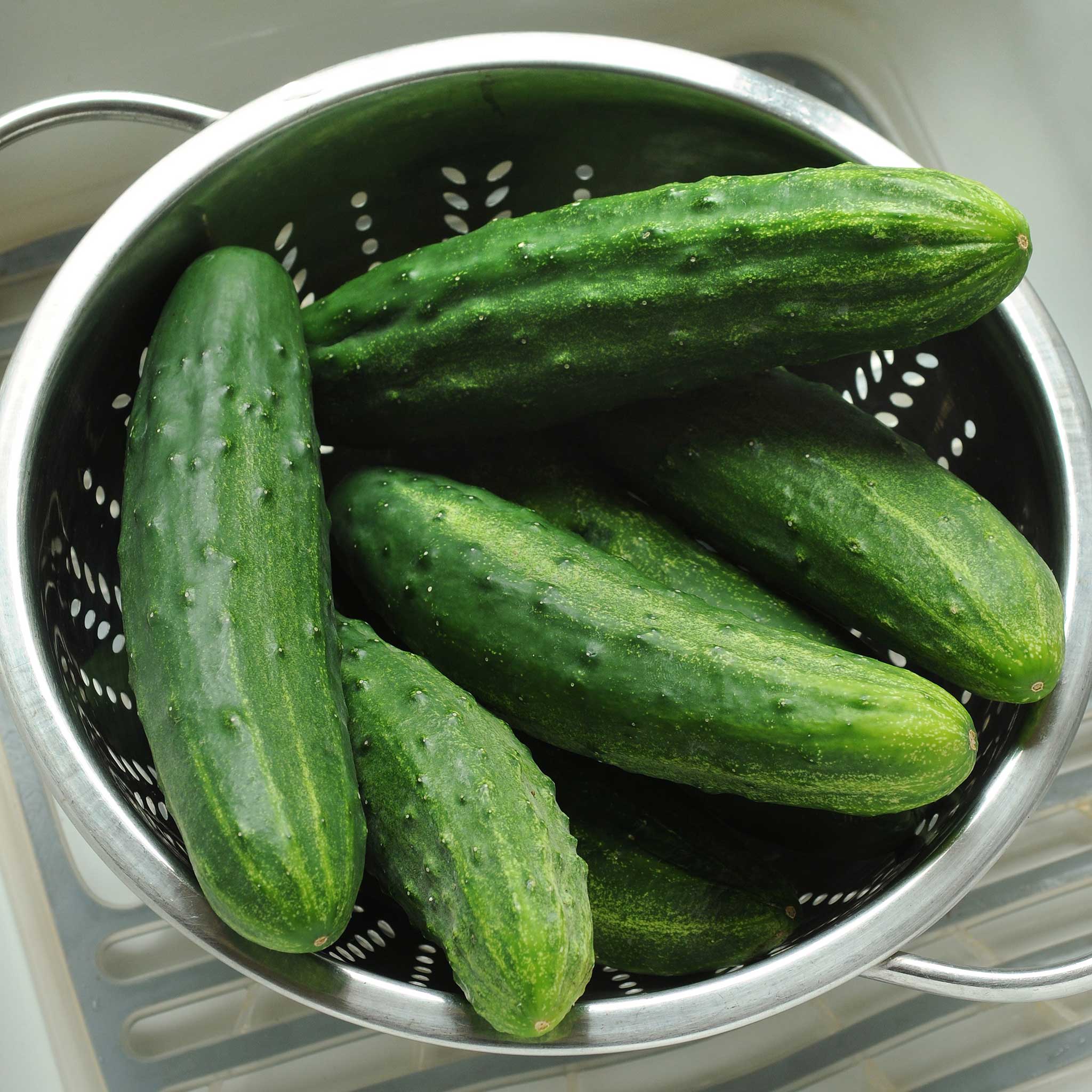 Cucumber Seeds - Patio Snacker