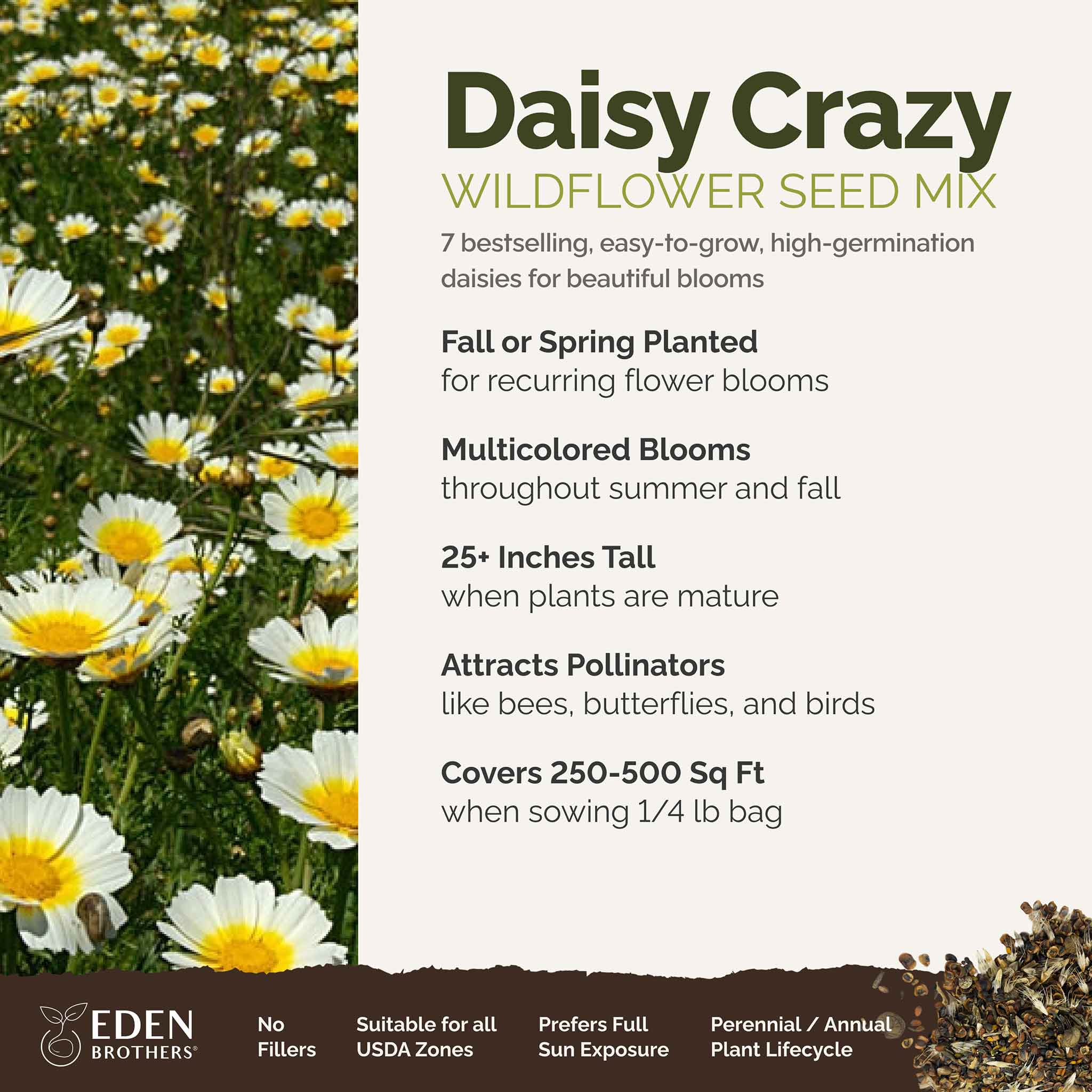 Daisy Crazy - Daisy Flower Seed Mix