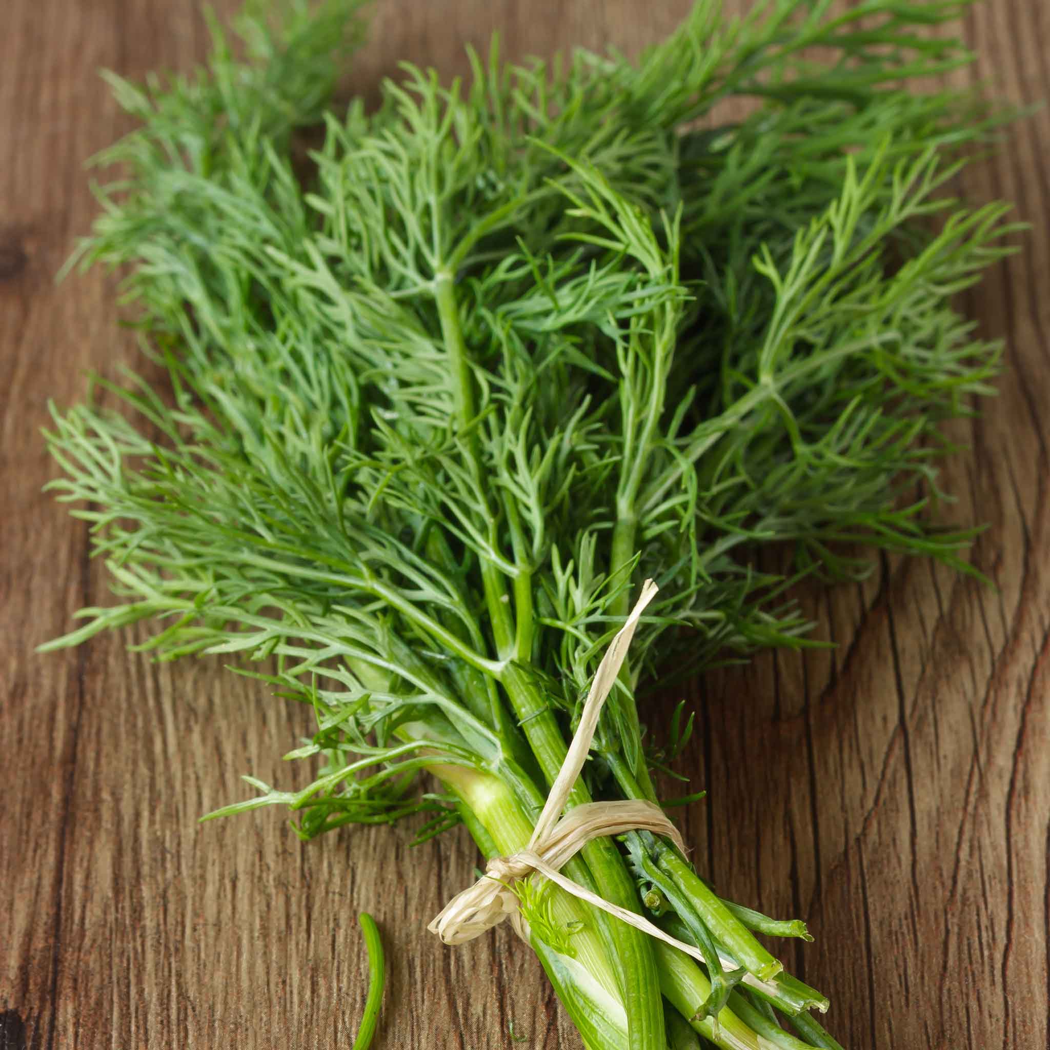 Dill Seeds - Bouquet