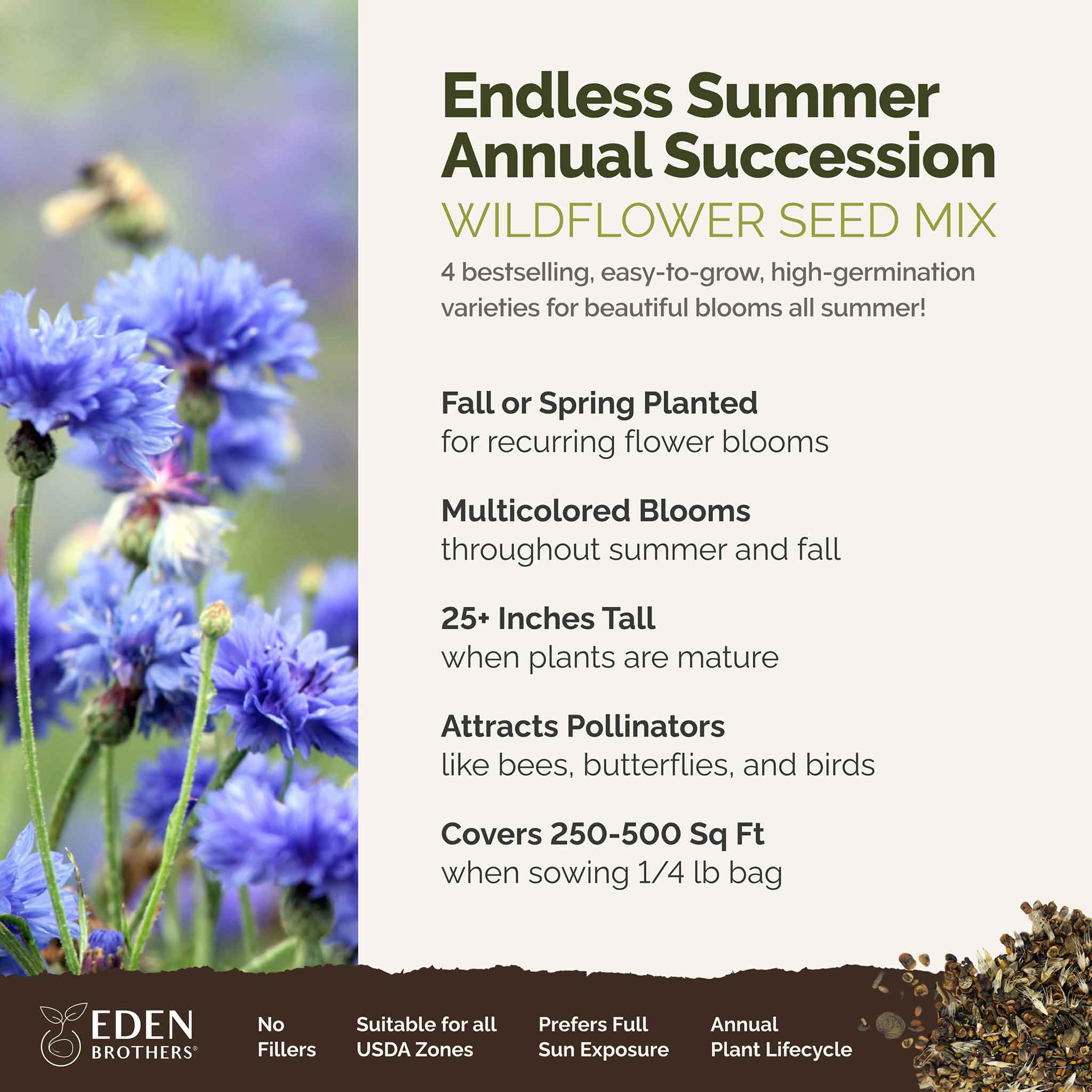 Endless Summer - Annual Succession Mix