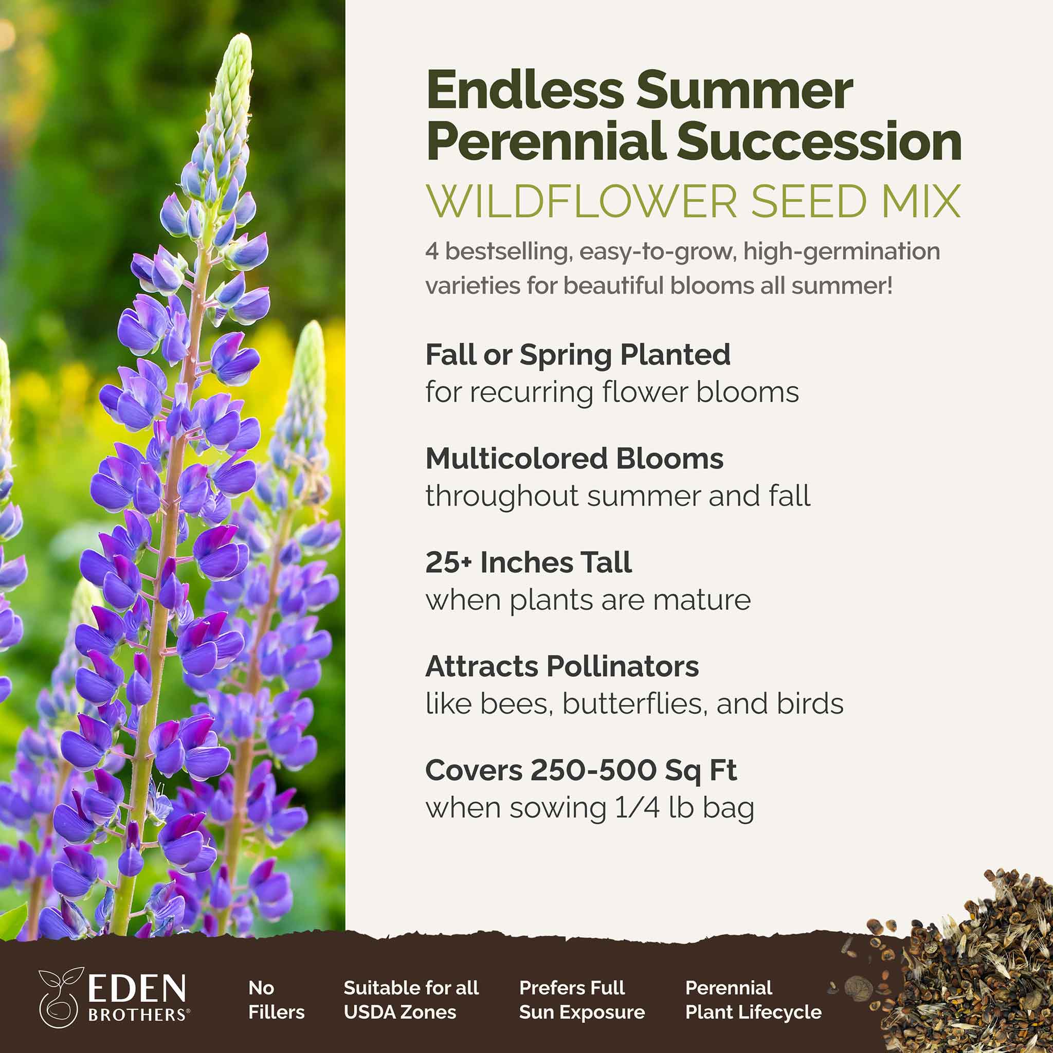 Endless Summer - Perennial Succession Mix