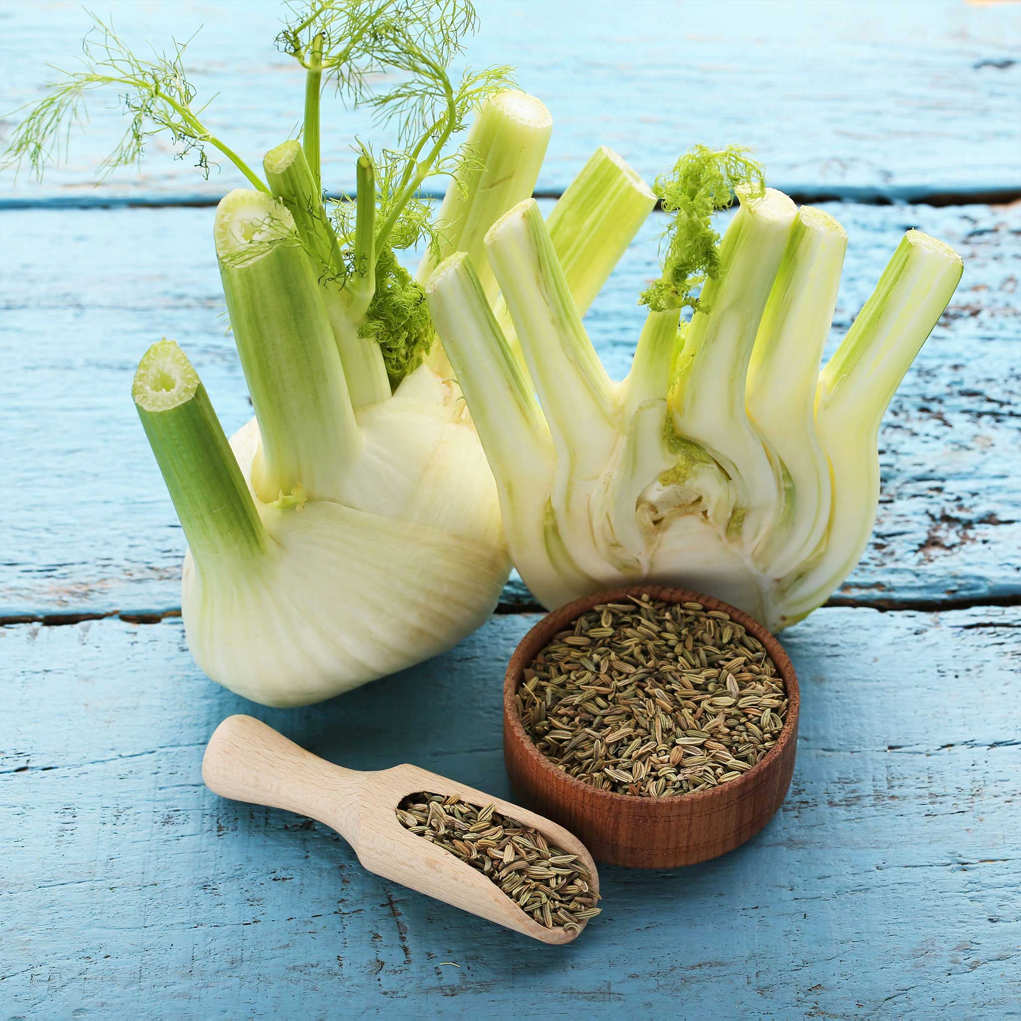 Fennel Seeds - Florence