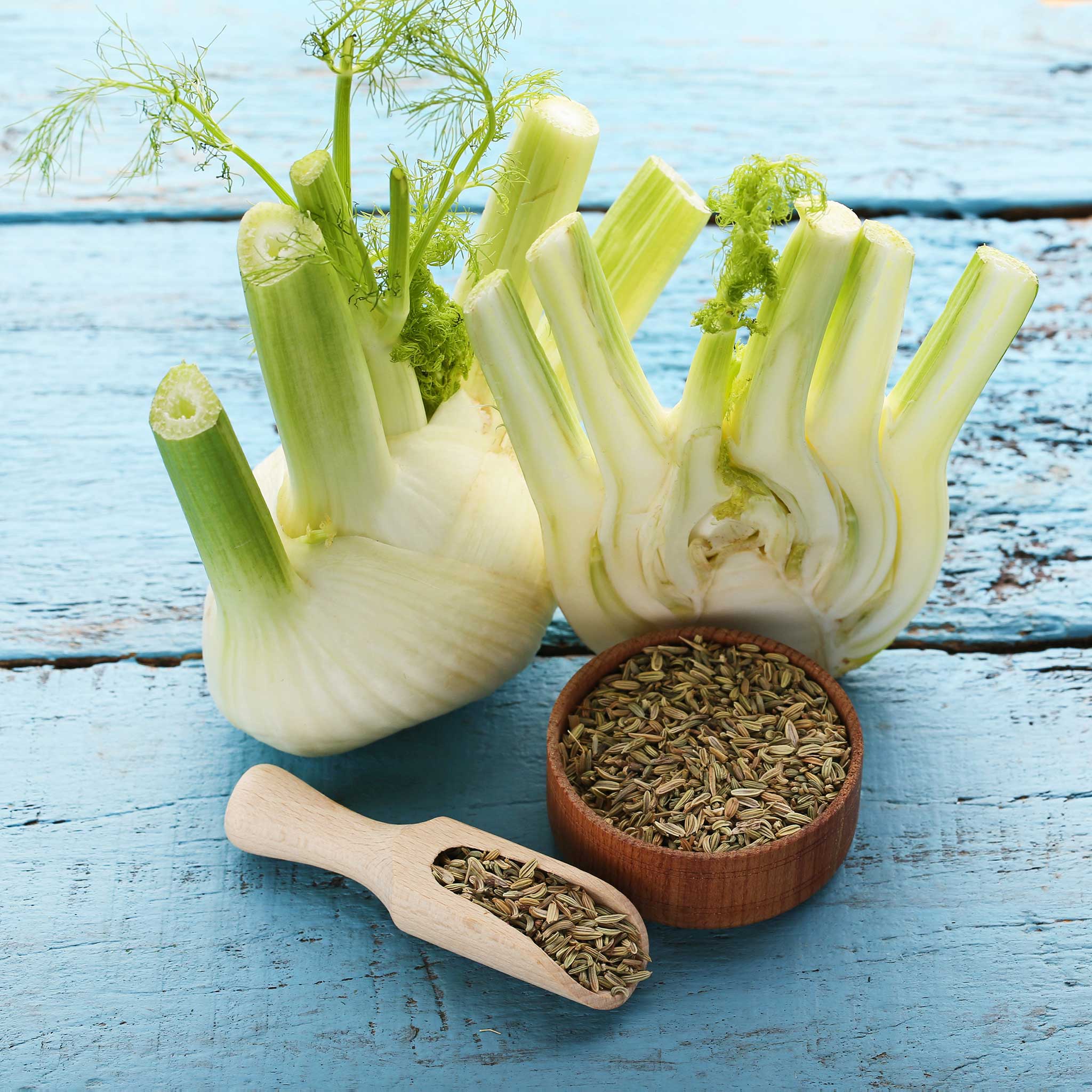 Organic Fennel Seeds - Florence