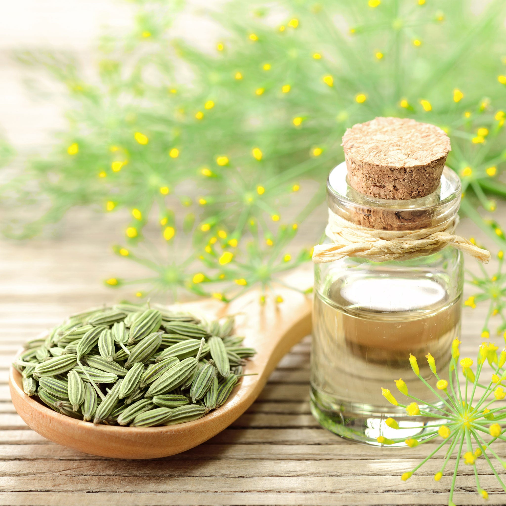 Fennel Seeds