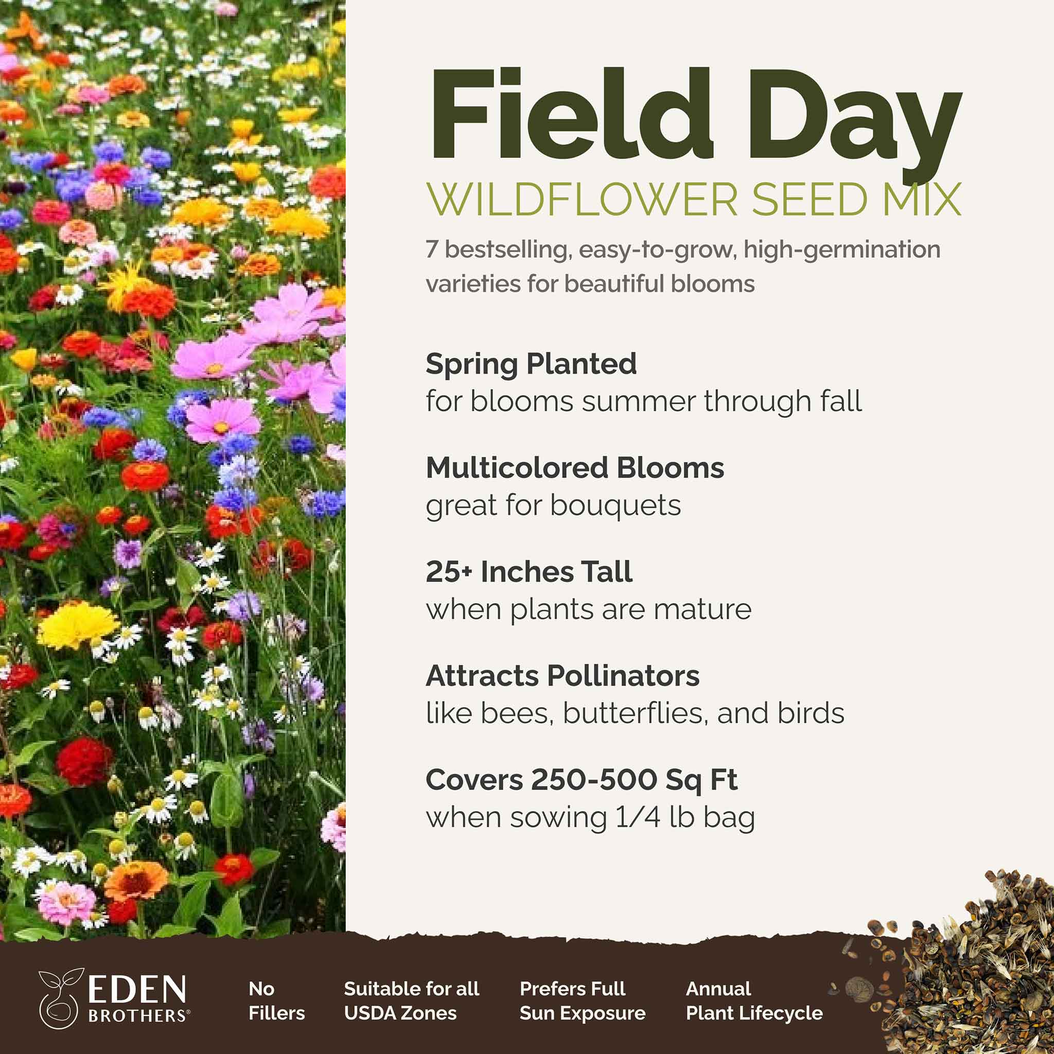 Field Day Flower Seed Mix