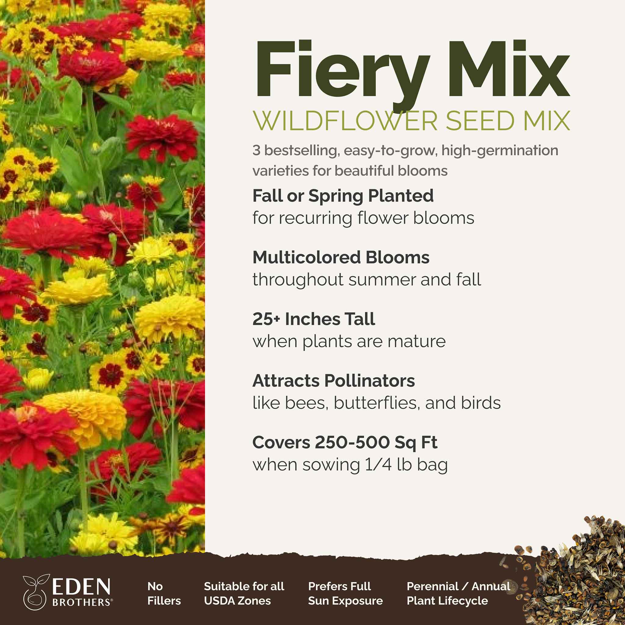 Fiery Mix - Yellow & Red Flower Seed Mix