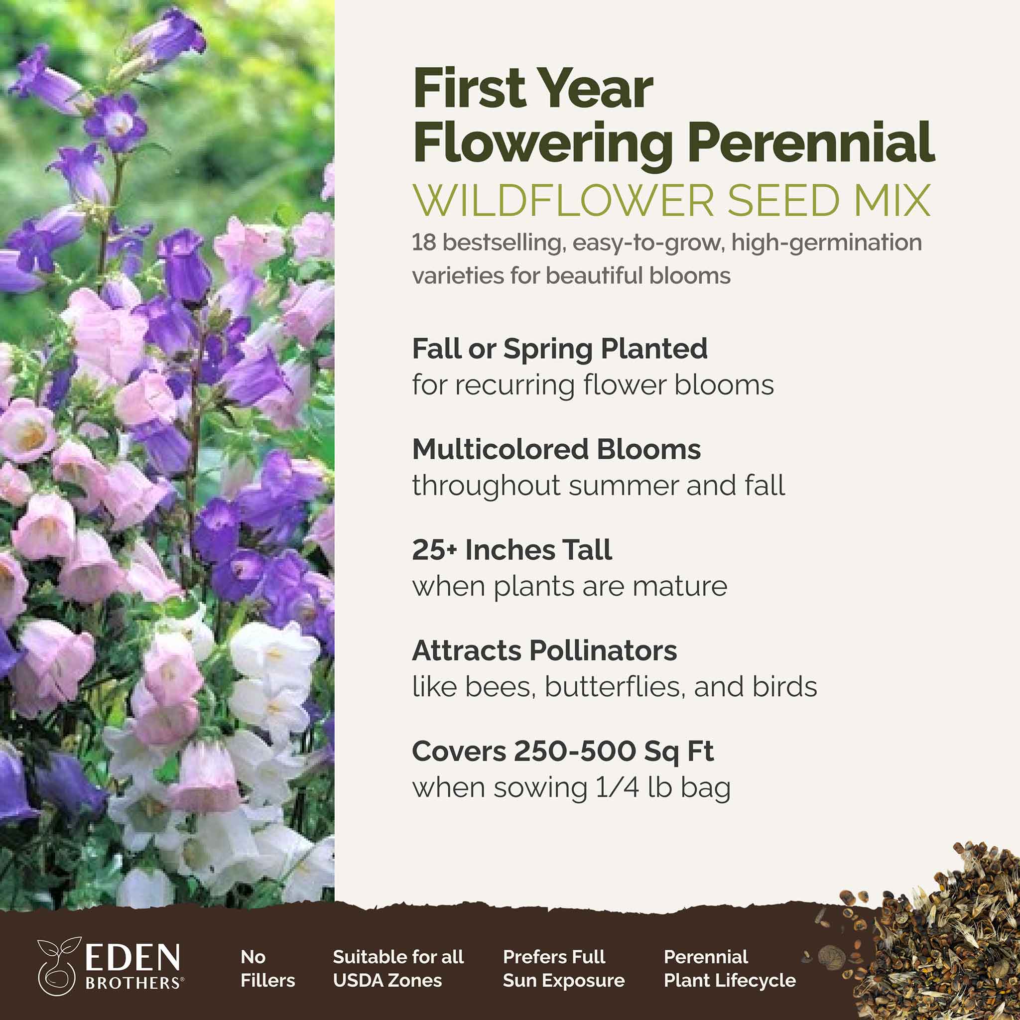 First Year Flowering Perennial Wildflower Seed Mix