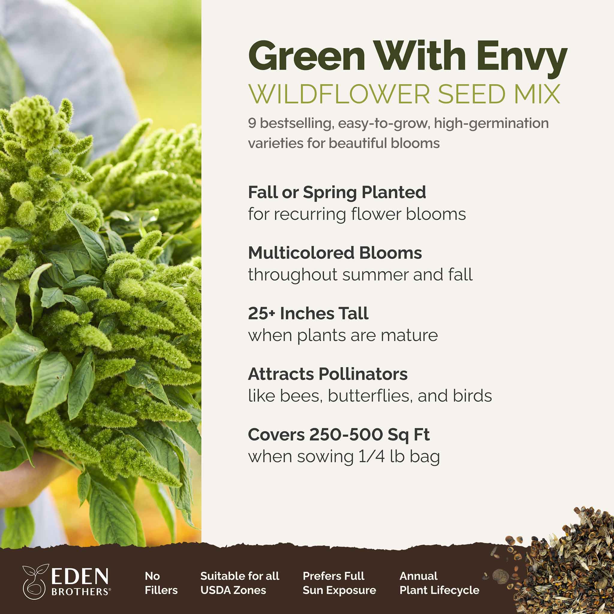 Green with Envy Flower Seed Mix