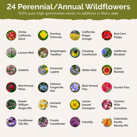 Heirloom Flower Seed Mix