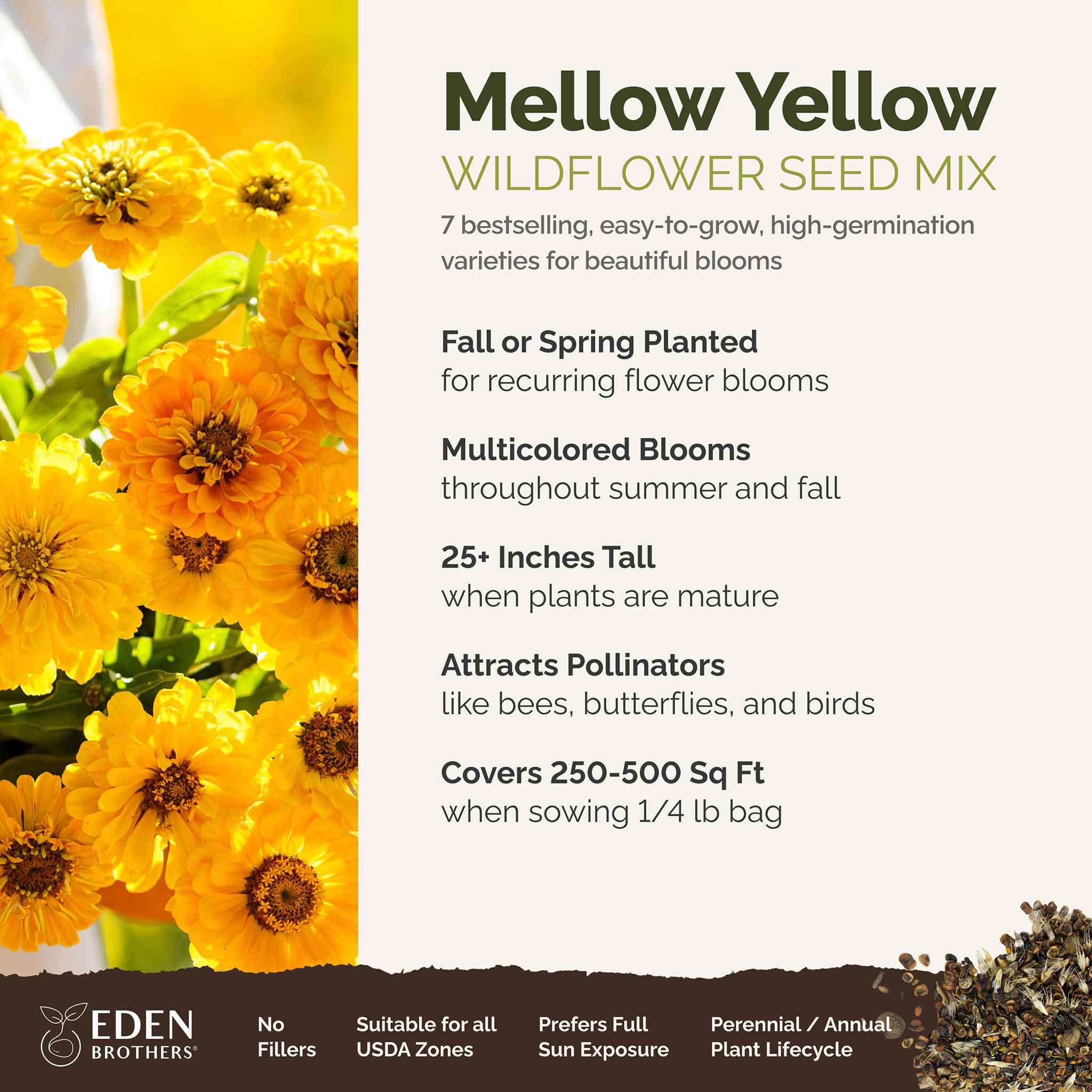 Mellow Yellow - Yellow Flower Seed Mix