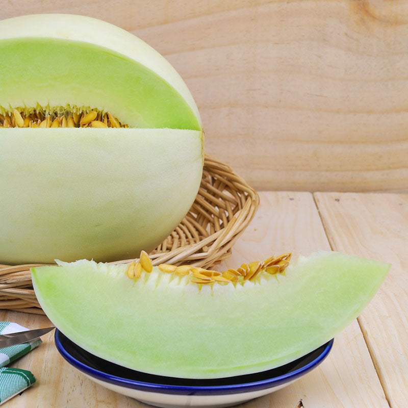 Melon Seeds - Honeydew Green