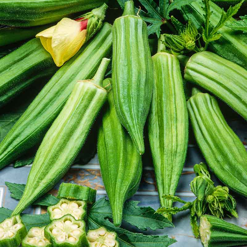 Okra Seeds - Clemson Spineless