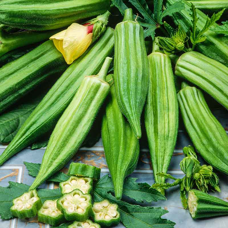 Organic Okra Seeds - Clemson Spineless