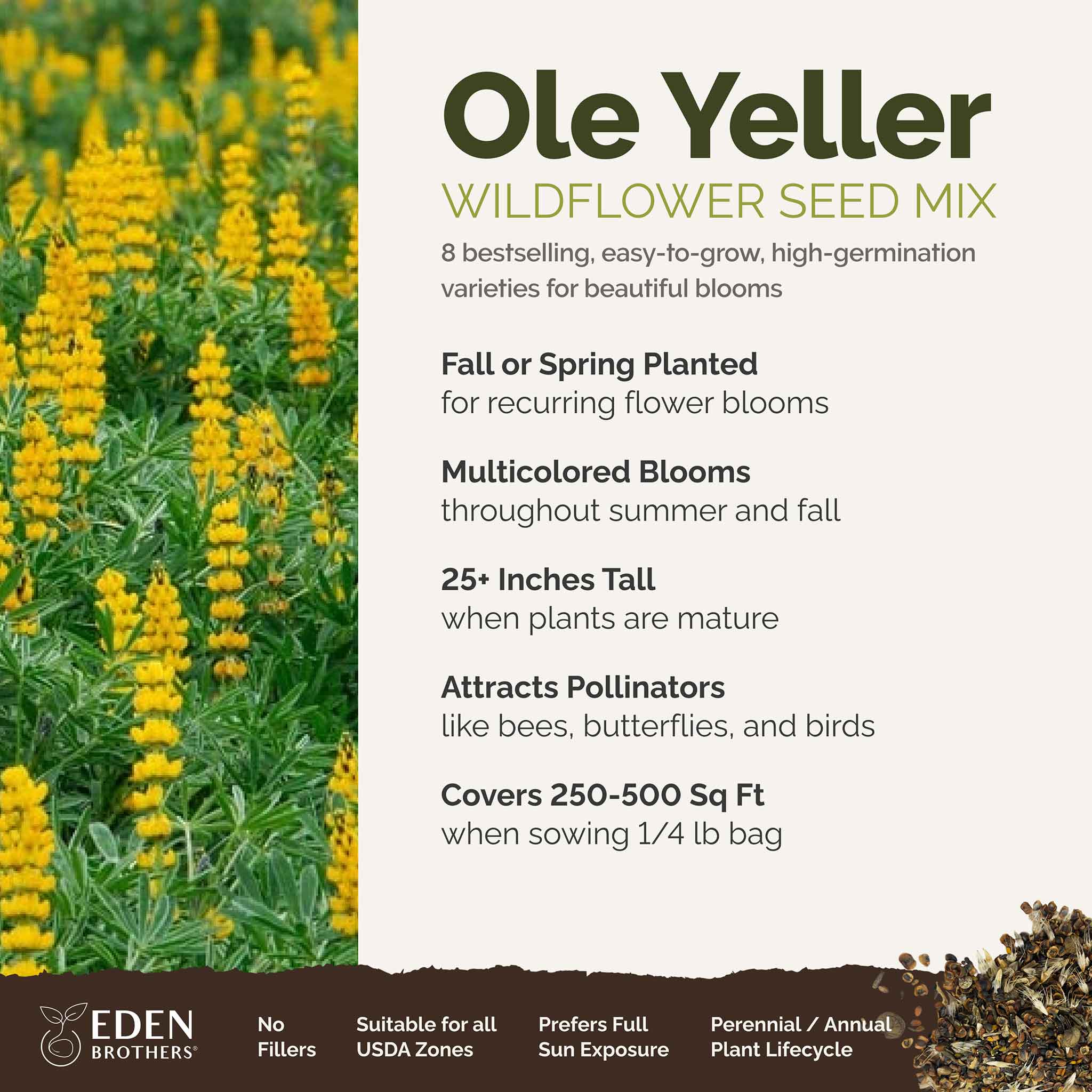 Ole Yeller - Exclusive Yellow Wildflower Seed Mix